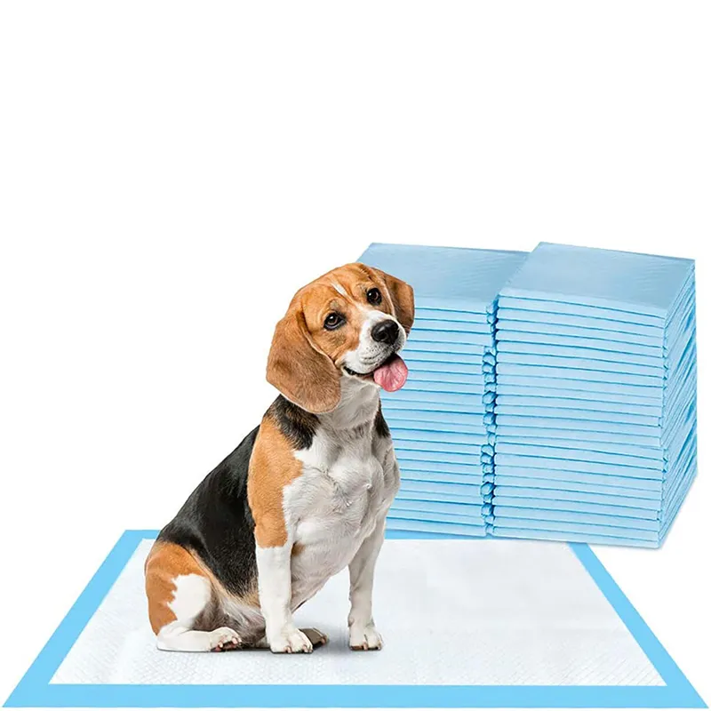 17.7" Blue Super-Absorbent Waterproof Dog Training Pad - 100-Count Extra Small