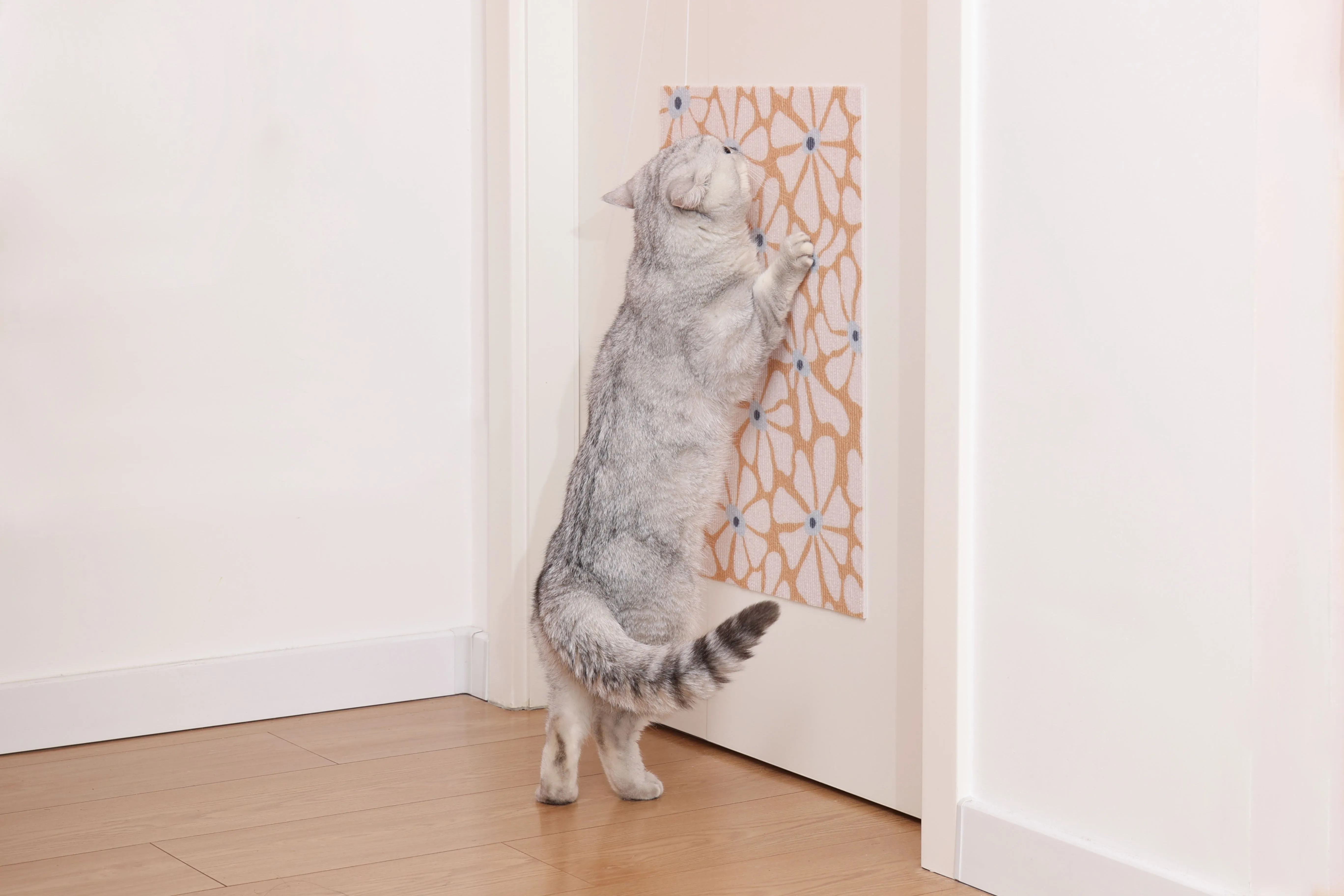 2pk Trimmable DIY Cat Scratching Mat