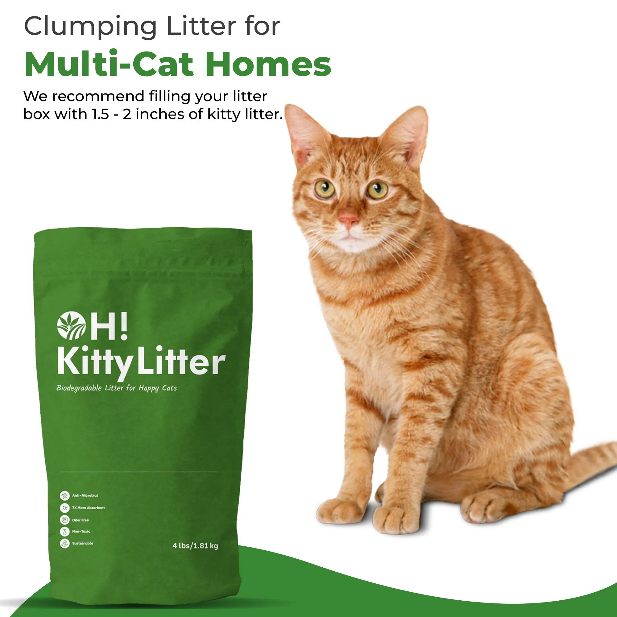 All-Natural Cat Litter, Lightweight and Clumping