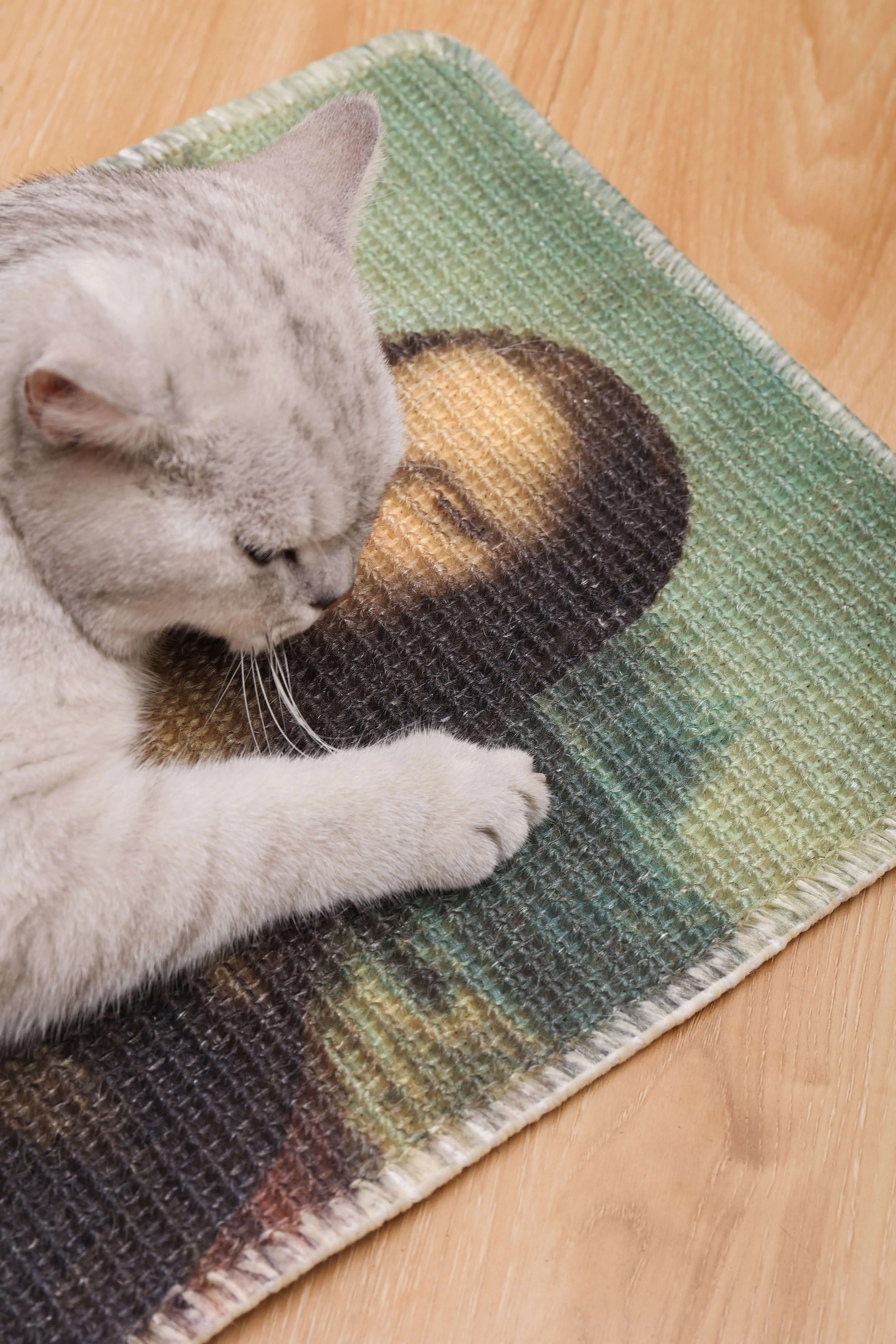 Art-Inspired Natural Sisal Scratching Mat