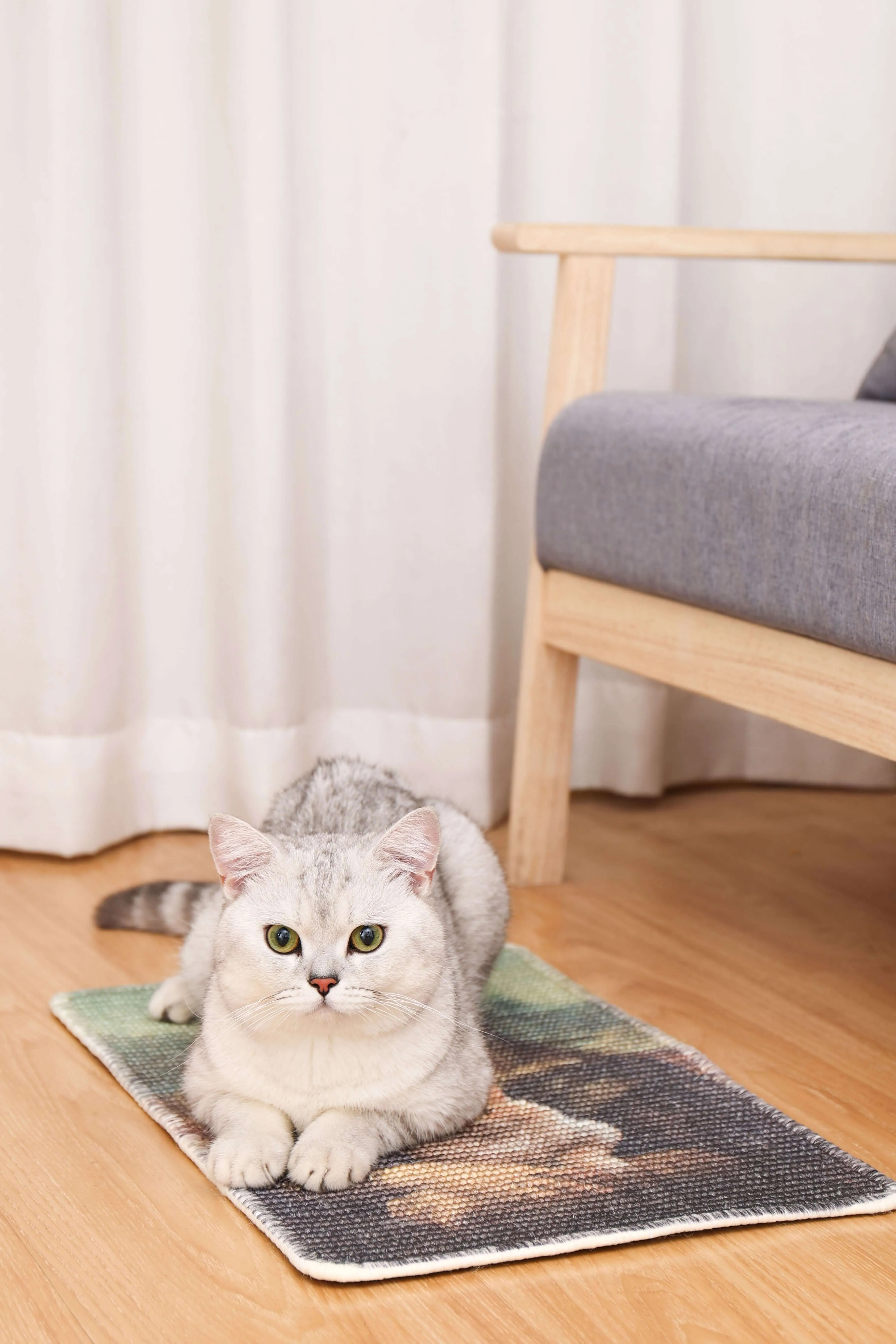 Art-Inspired Natural Sisal Scratching Mat