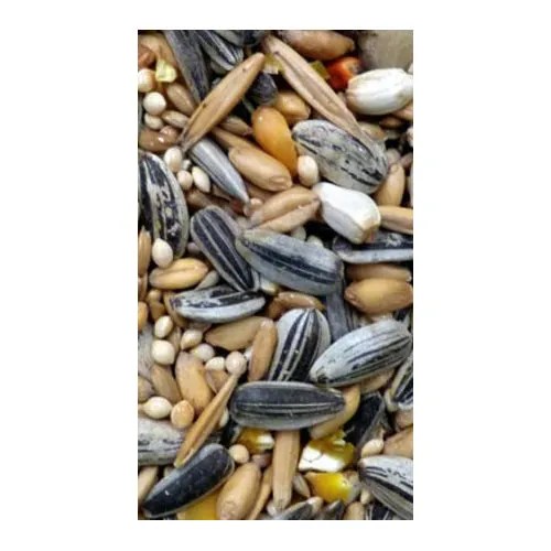 Avigrain Parrot Blue Fruit & Nut Mix