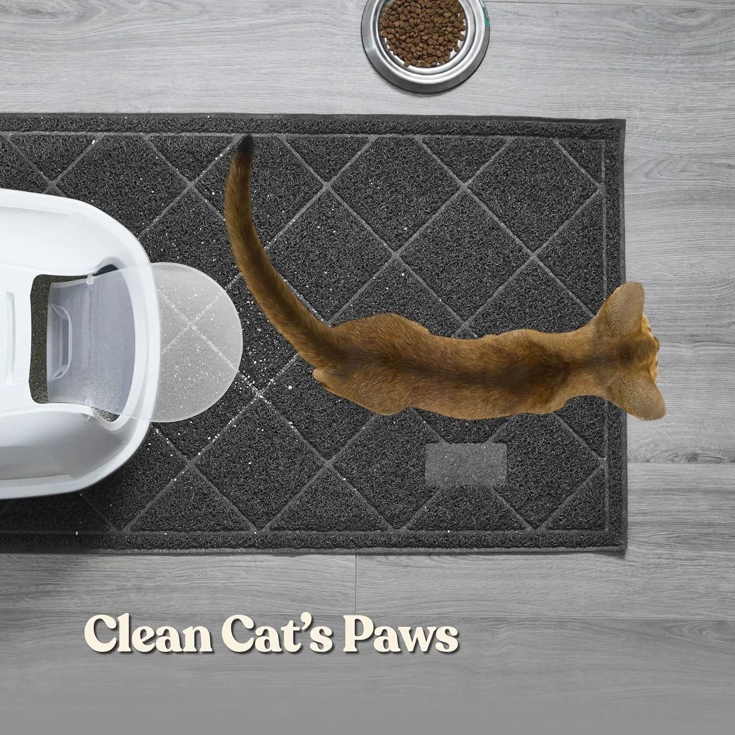 Cat Litter Mat