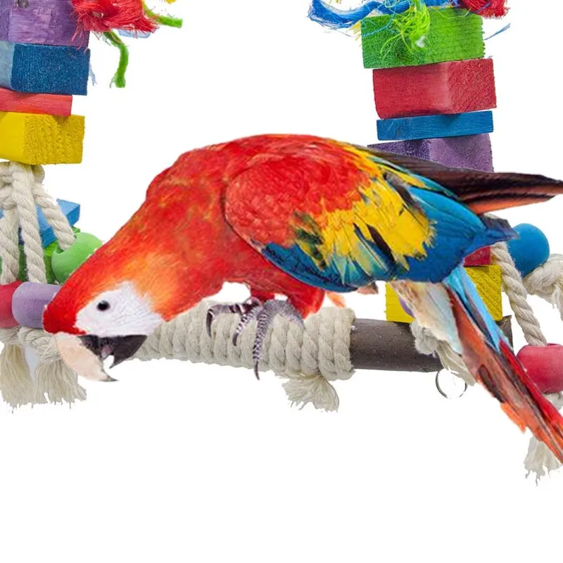 Colorful Parrot Swing Toy