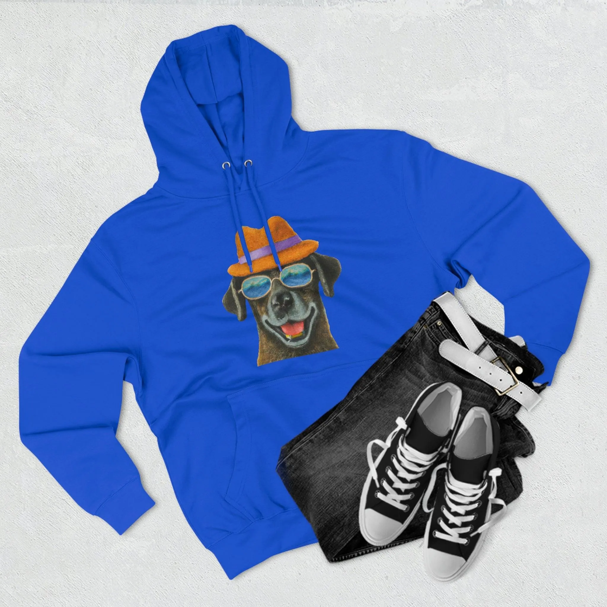 Dog at the beach wearing a hat and sunglasses painted arts Premium Pullover Hoodie