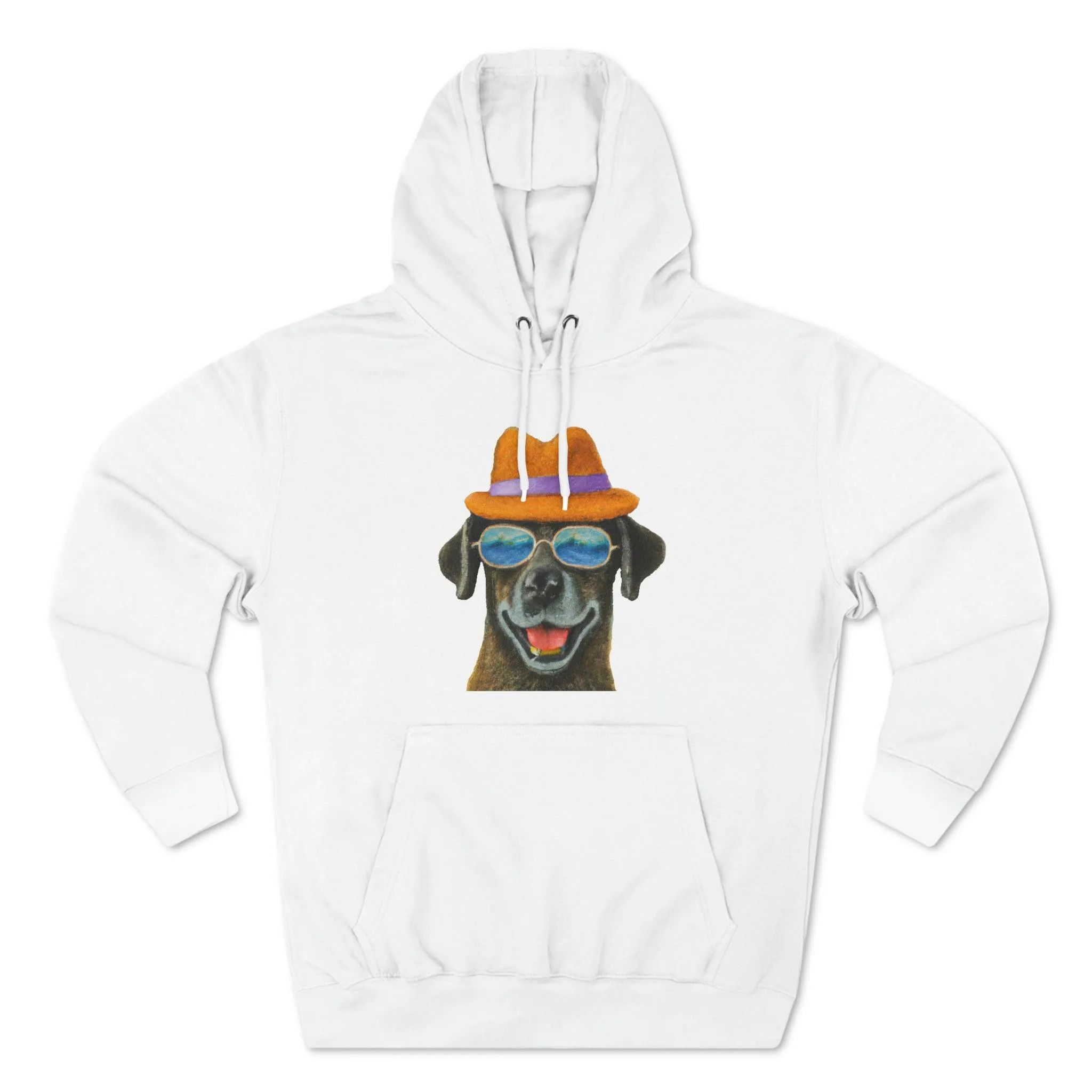 Dog at the beach wearing a hat and sunglasses painted arts Premium Pullover Hoodie
