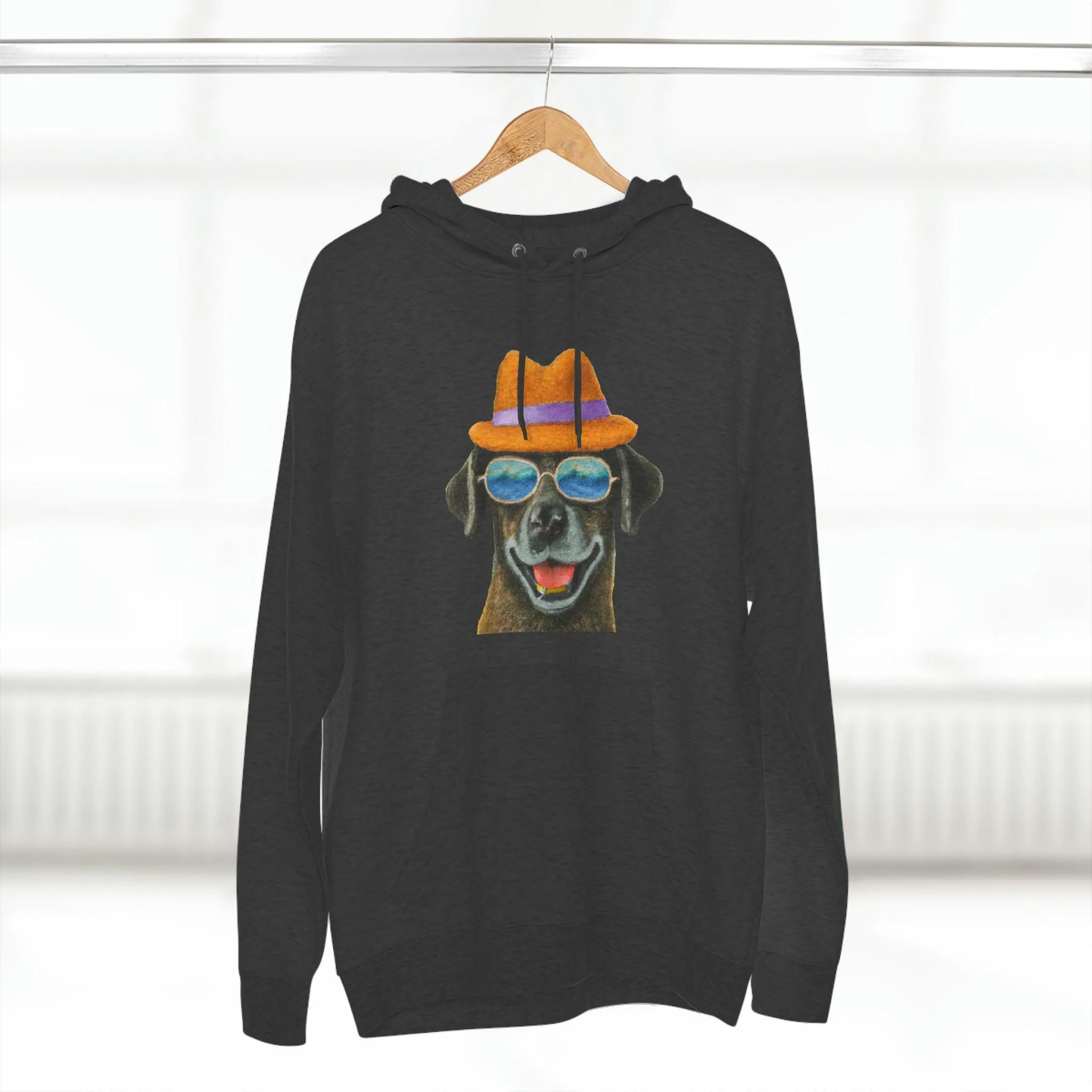 Dog at the beach wearing a hat and sunglasses painted arts Premium Pullover Hoodie