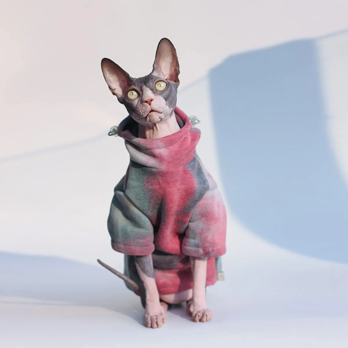 DUOMASUMI Sphynx Cat Clothes Hairless Cat Clothes Devon Rex Clothing Autumn Winter Fleece-Lined Warm Cats Jacket for Small Dog Cat Hoodie (S)