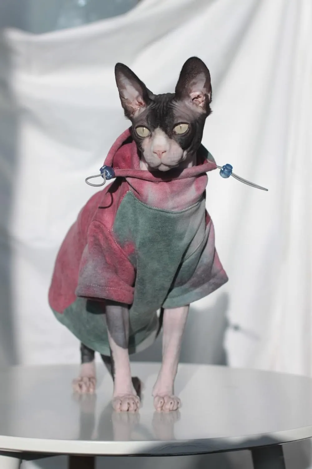 DUOMASUMI Sphynx Cat Clothes Hairless Cat Clothes Devon Rex Clothing Autumn Winter Fleece-Lined Warm Cats Jacket for Small Dog Cat Hoodie (S)