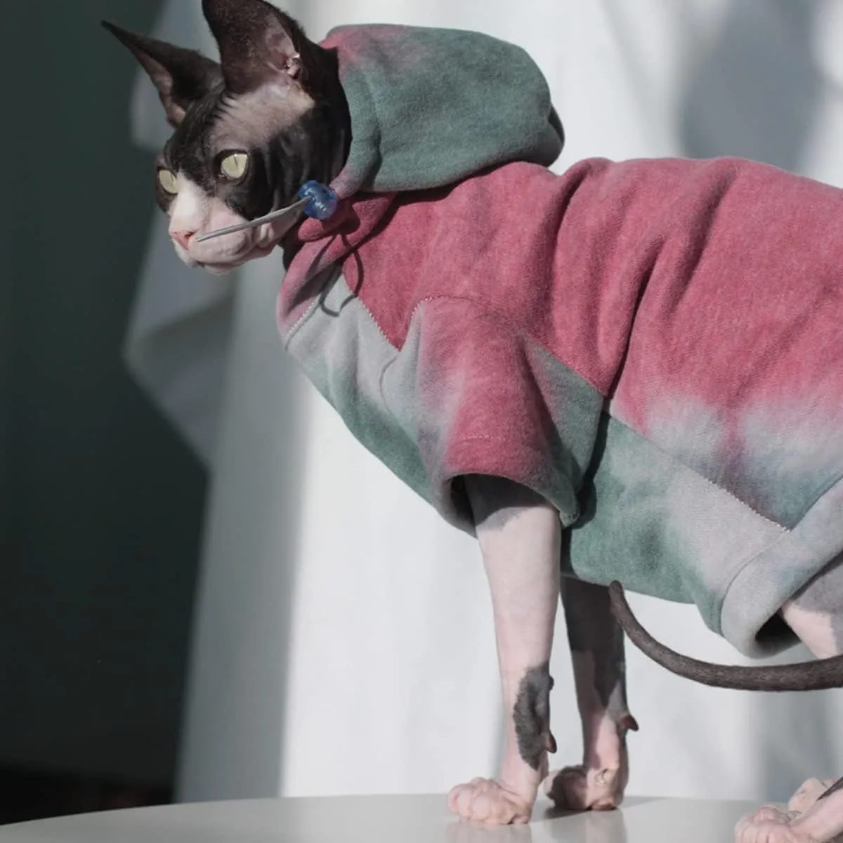 DUOMASUMI Sphynx Cat Clothes Hairless Cat Clothes Devon Rex Clothing Autumn Winter Fleece-Lined Warm Cats Jacket for Small Dog Cat Hoodie (S)