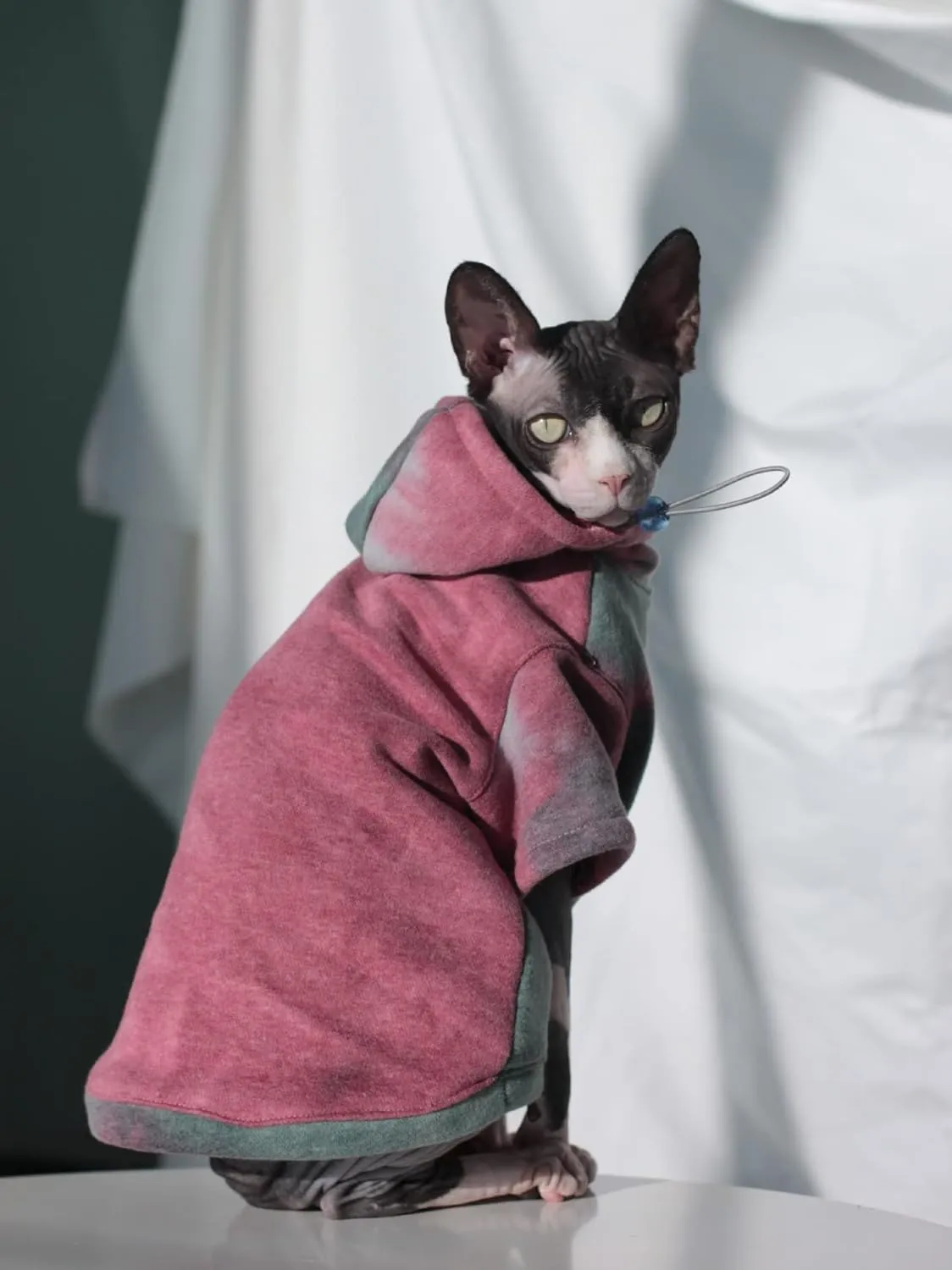 DUOMASUMI Sphynx Cat Clothes Hairless Cat Clothes Devon Rex Clothing Autumn Winter Fleece-Lined Warm Cats Jacket for Small Dog Cat Hoodie (S)