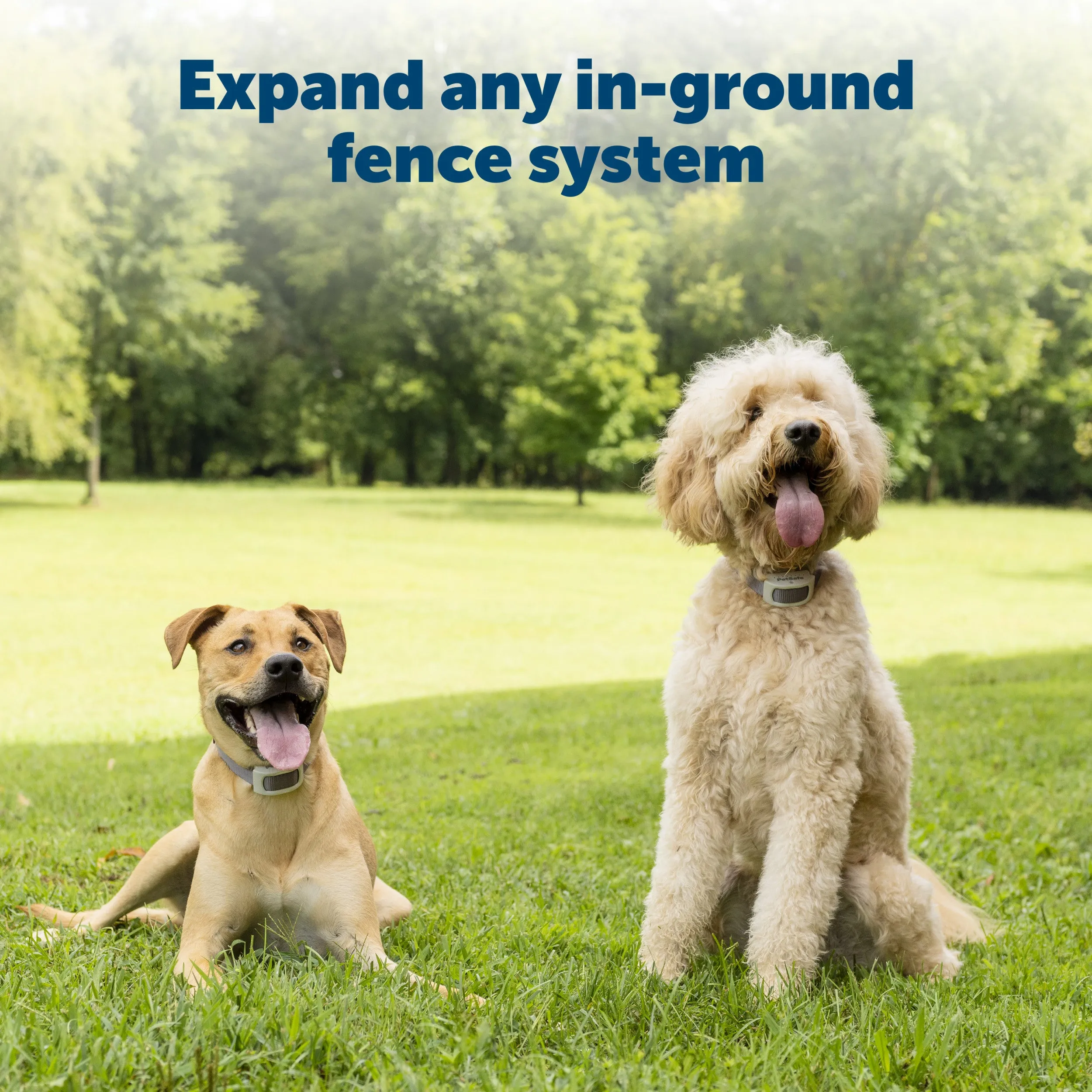 Extra In-Ground Fence Boundary Wire & Training Flags