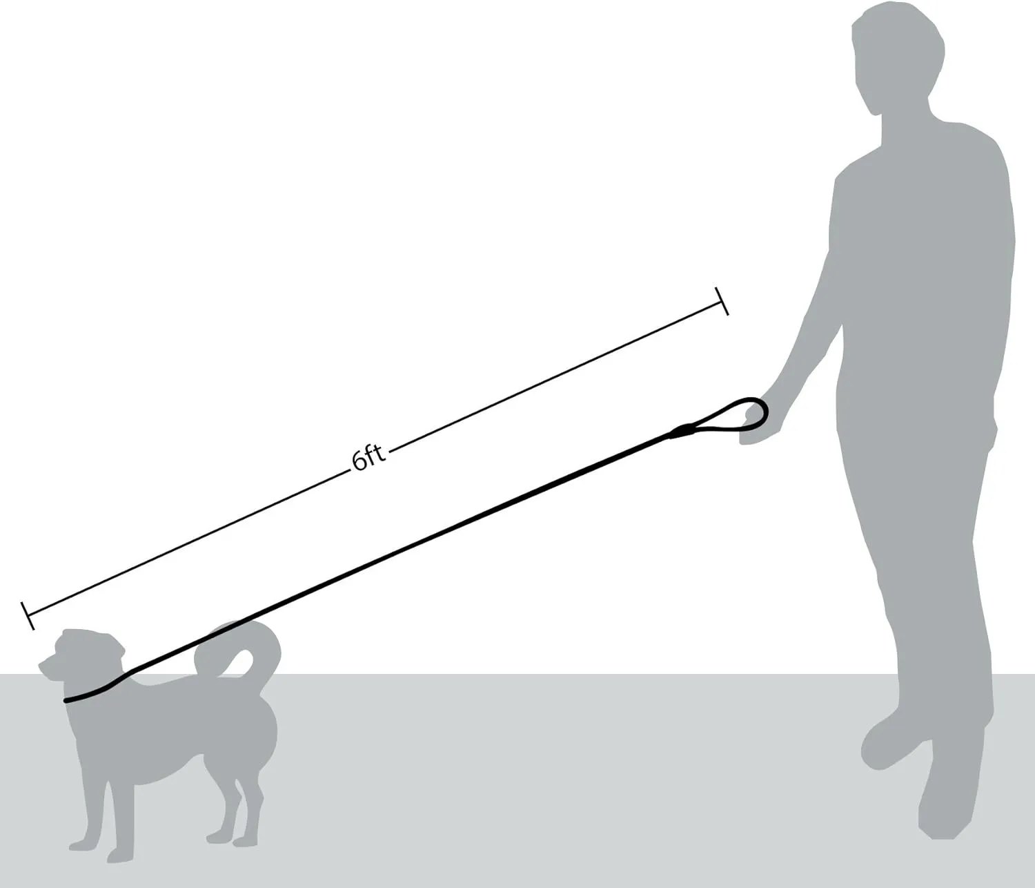 Friends Forever Extremely Durable Dog Rope Leash, Premium Quality Training Slip Lead, Reflective, Thick Heavy Duty, Sturdy, No Pull, Comfortable For The Strong Large Medium Small Pets 6 feet, Silver