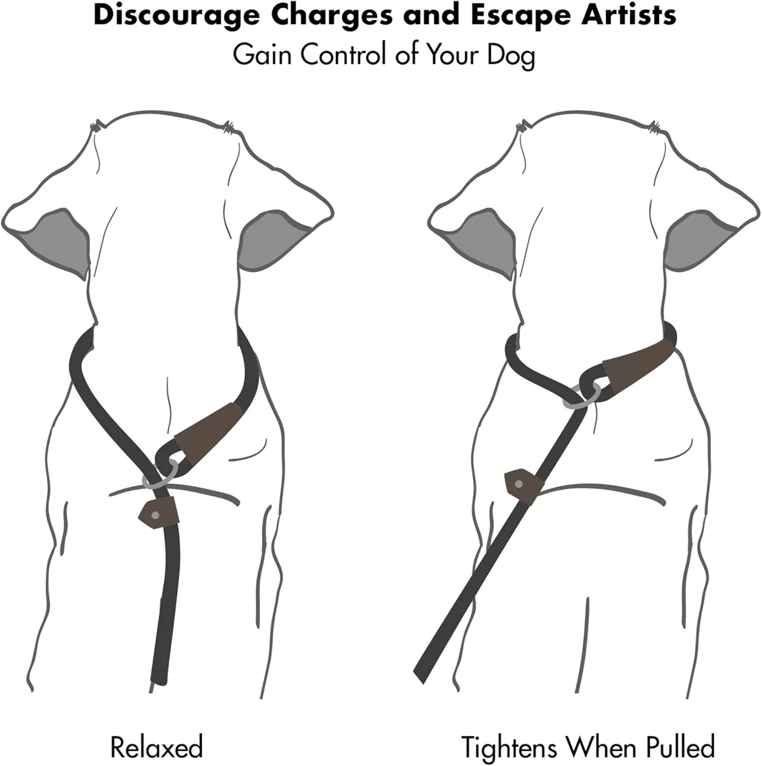 Friends Forever Extremely Durable Dog Rope Leash, Premium Quality Training Slip Lead, Reflective, Thick Heavy Duty, Sturdy, No Pull, Comfortable For The Strong Large Medium Small Pets 6 feet, Silver