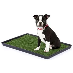 Large Dog Grass Pad - Prevue Pet Products Tinkle Turf Indoor Potty Pad