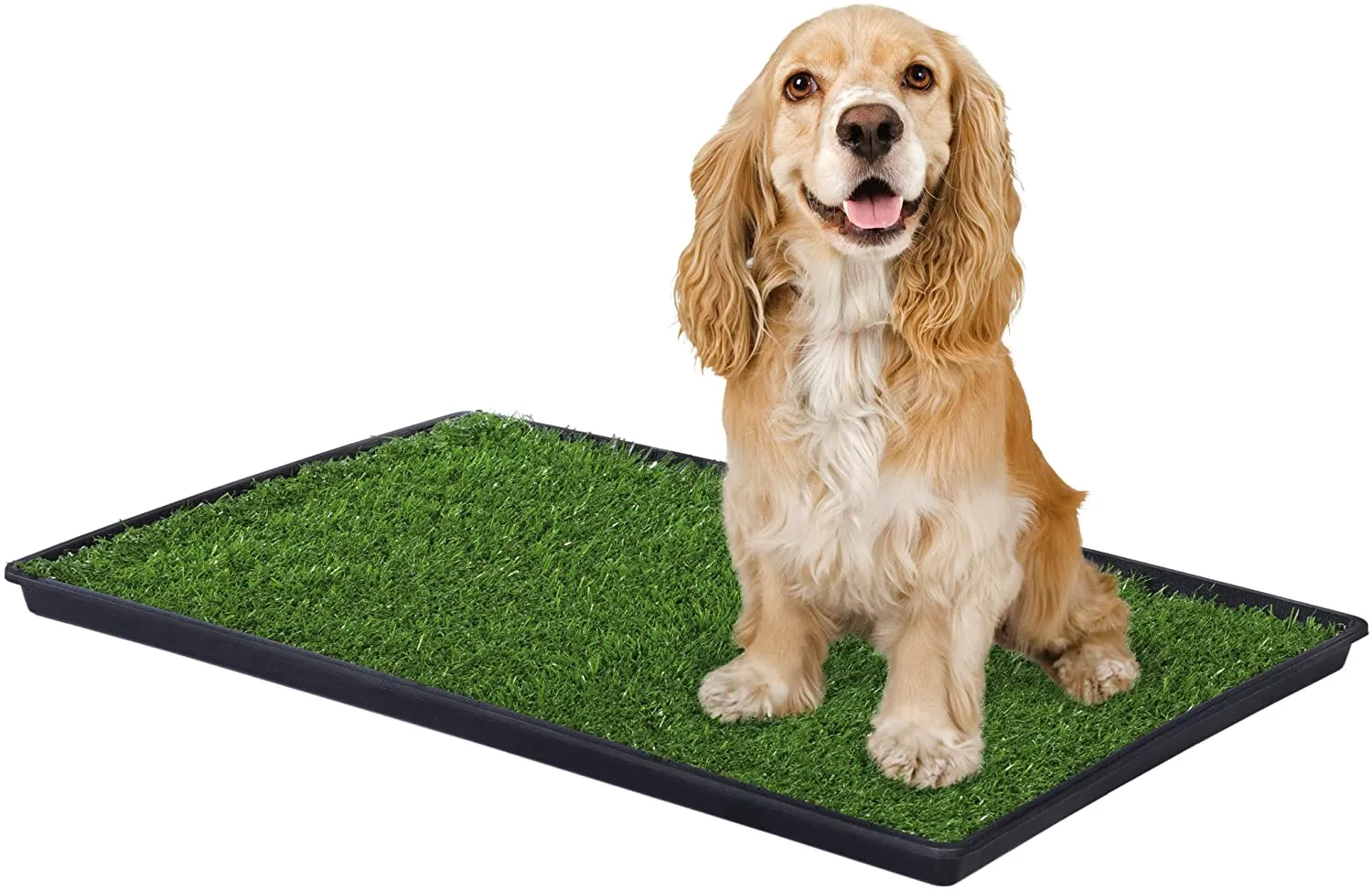 Large Dog Grass Pad - Prevue Pet Products Tinkle Turf Indoor Potty Pad
