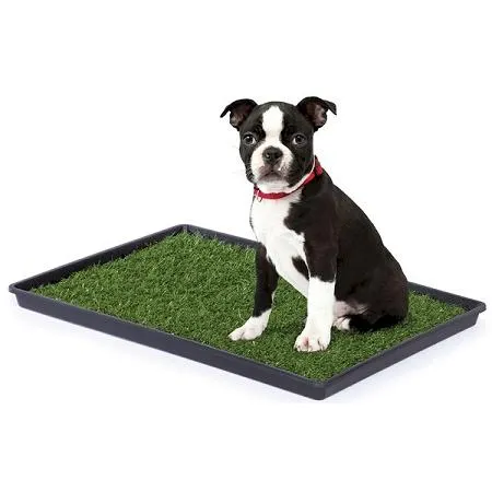 Large Dog Grass Pad - Prevue Pet Products Tinkle Turf Indoor Potty Pad