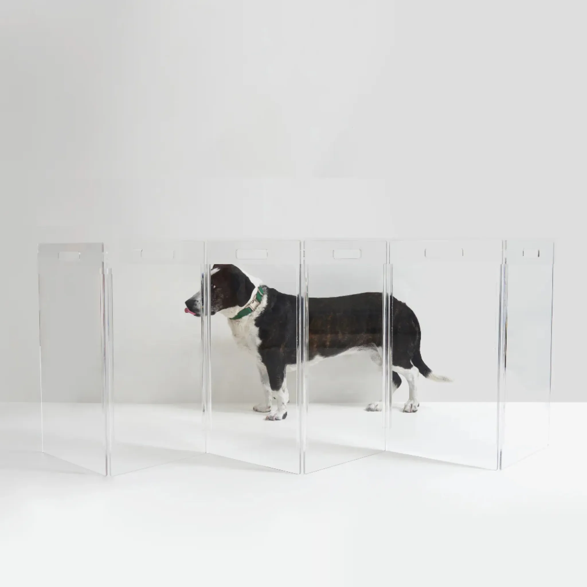 Low Clear Freestanding Zig Zag Pet Gate