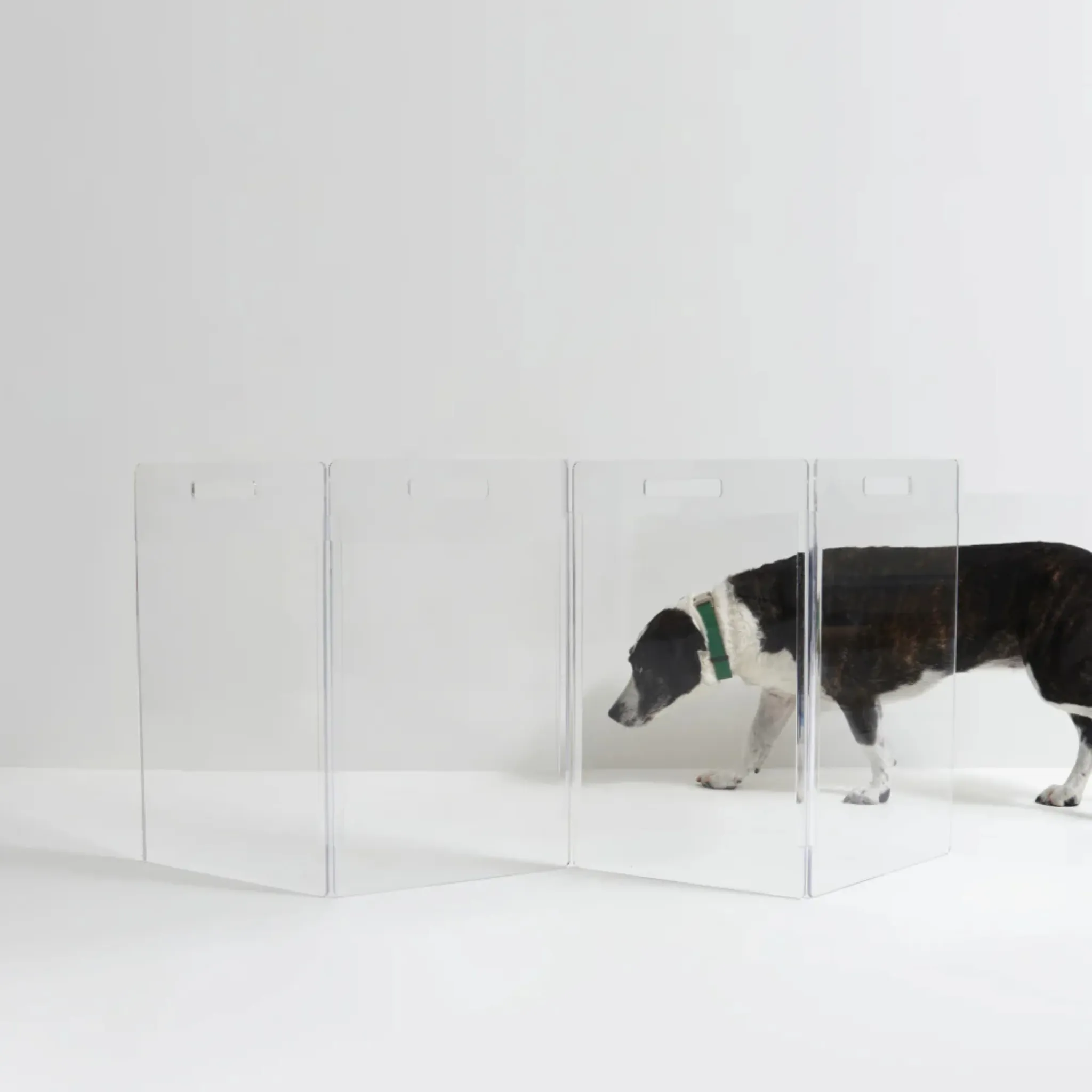 Low Clear Freestanding Zig Zag Pet Gate