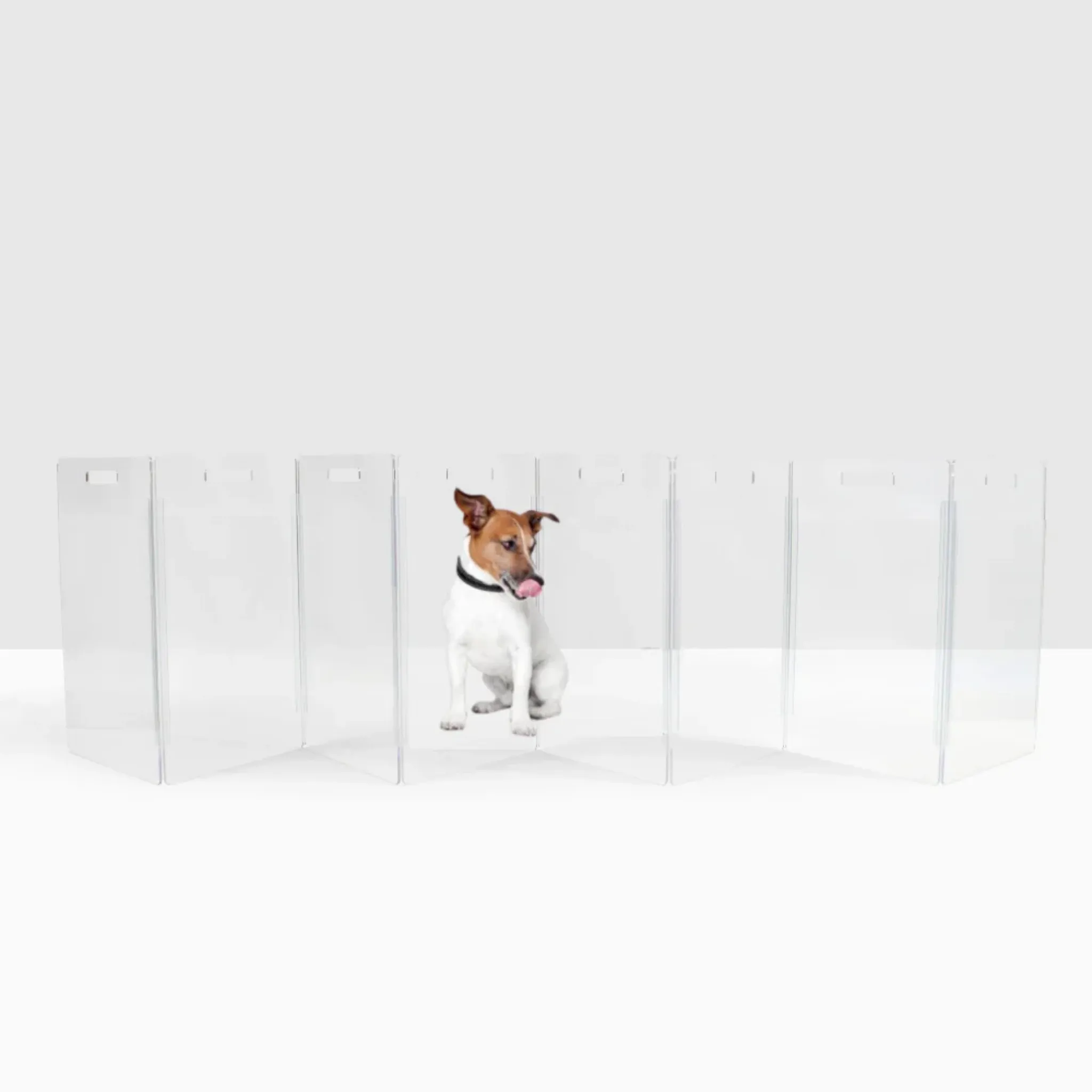 Low Clear Freestanding Zig Zag Pet Gate