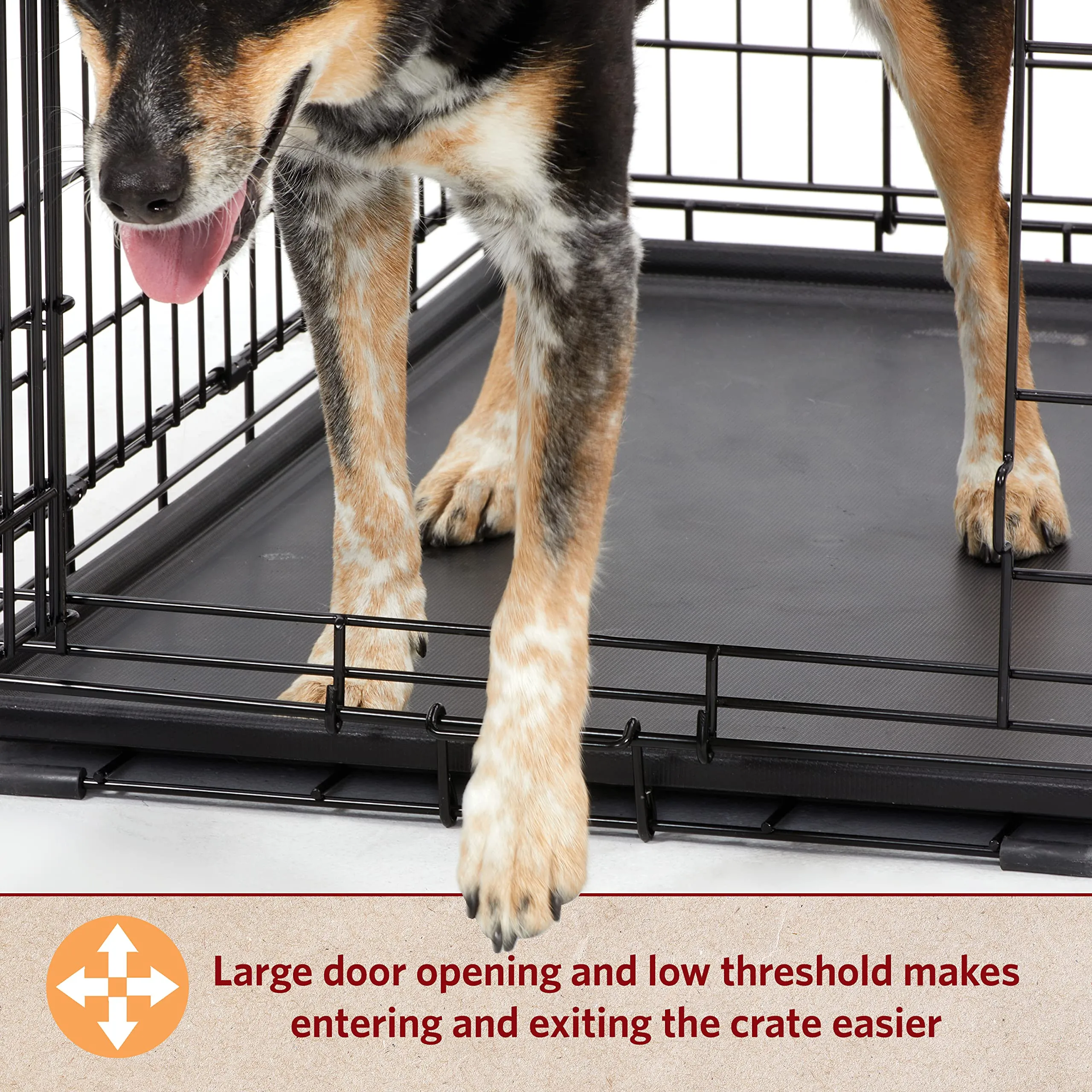 Midwest I-Crate Single Door Metal Folding Dog Crate with Divider Panel - 18" X 12" X 14" Inches
