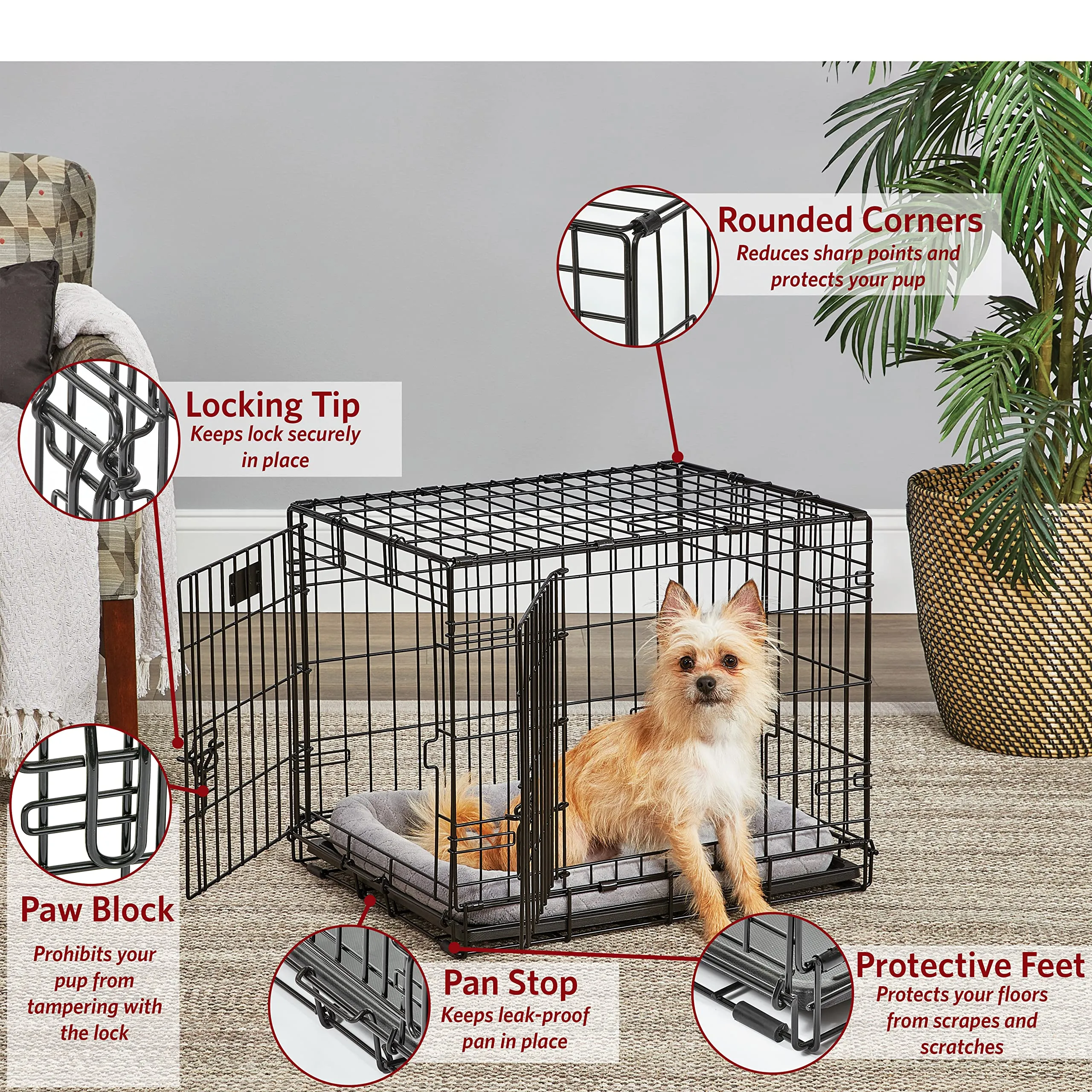 Midwest I-Crate Single Door Metal Folding Dog Crate with Divider Panel - 18" X 12" X 14" Inches