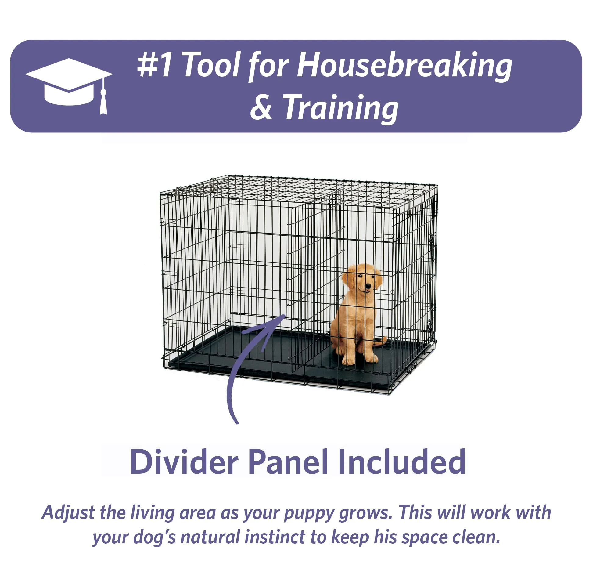 Midwest I-Crate Single Door Metal Folding Dog Crate with Divider Panel - 24" X 18" X 19" Inches