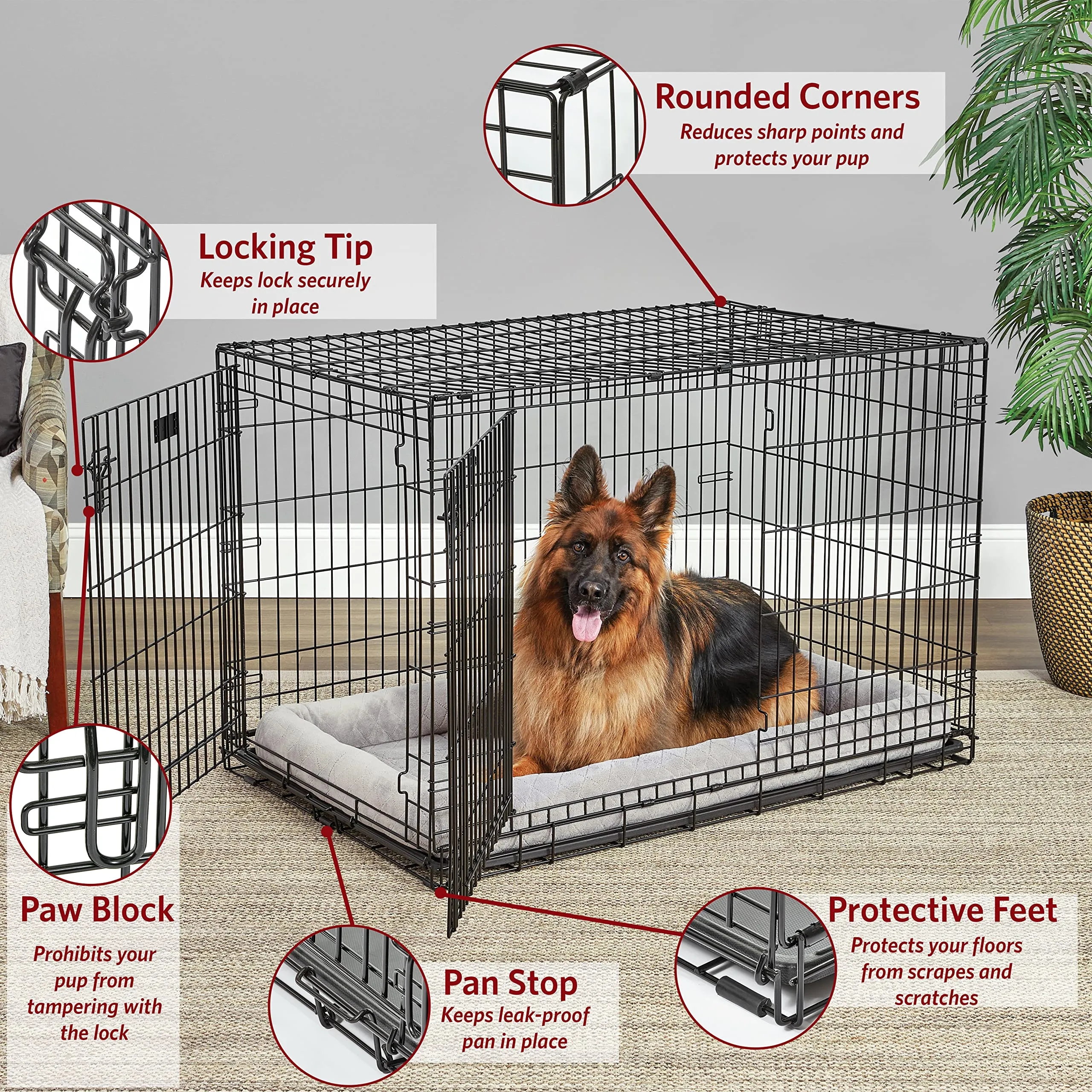 Midwest Lifestages Metal Folding Single Door Dog Crate with Divider - 48" X 30" X 33" Inches