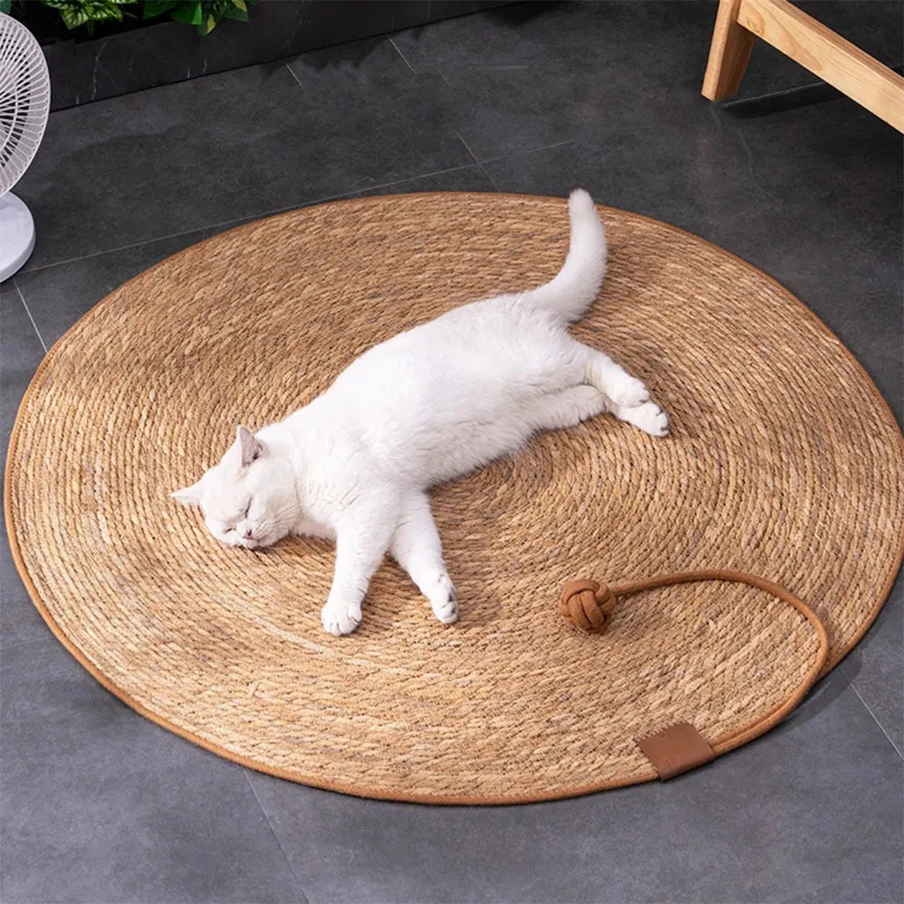 Nail Sharpening Scraper and Furniture Protector for Cats