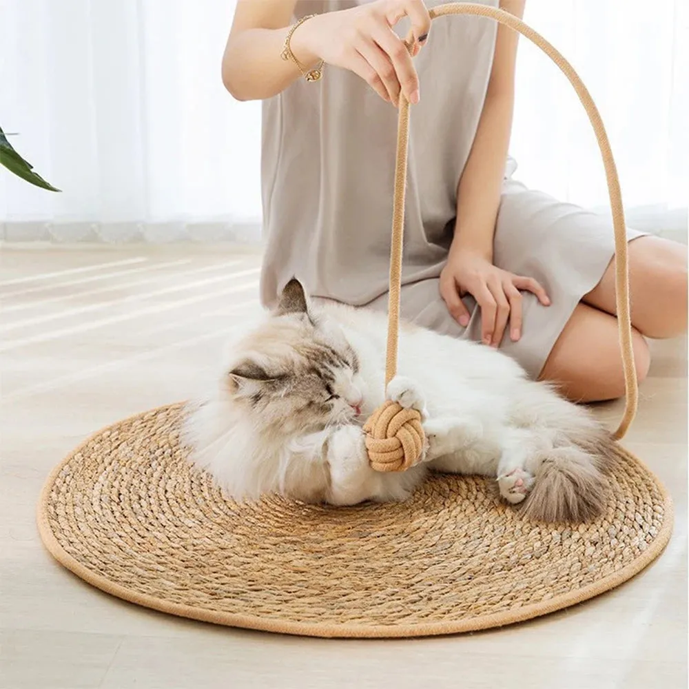 Nail Sharpening Scraper and Furniture Protector for Cats