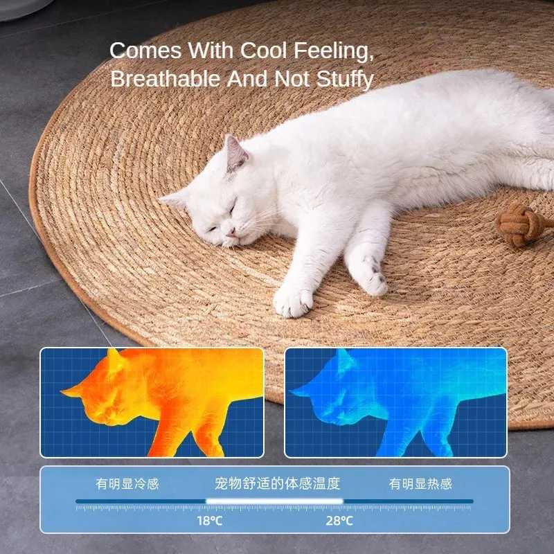 Nail Sharpening Scraper and Furniture Protector for Cats