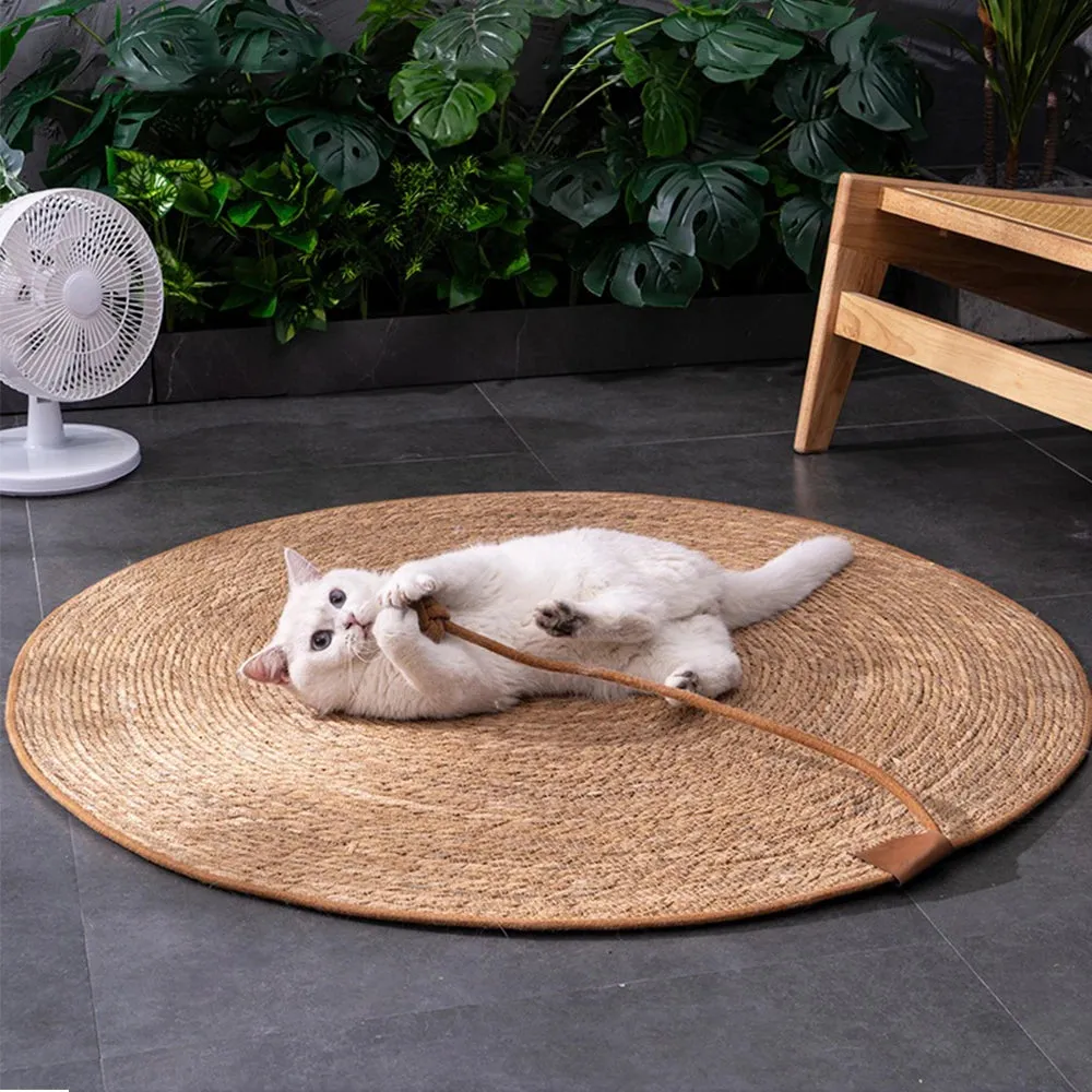 Nail Sharpening Scraper and Furniture Protector for Cats