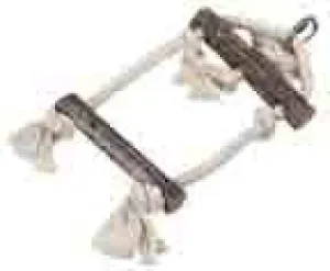 PARROT SWING TRUNG