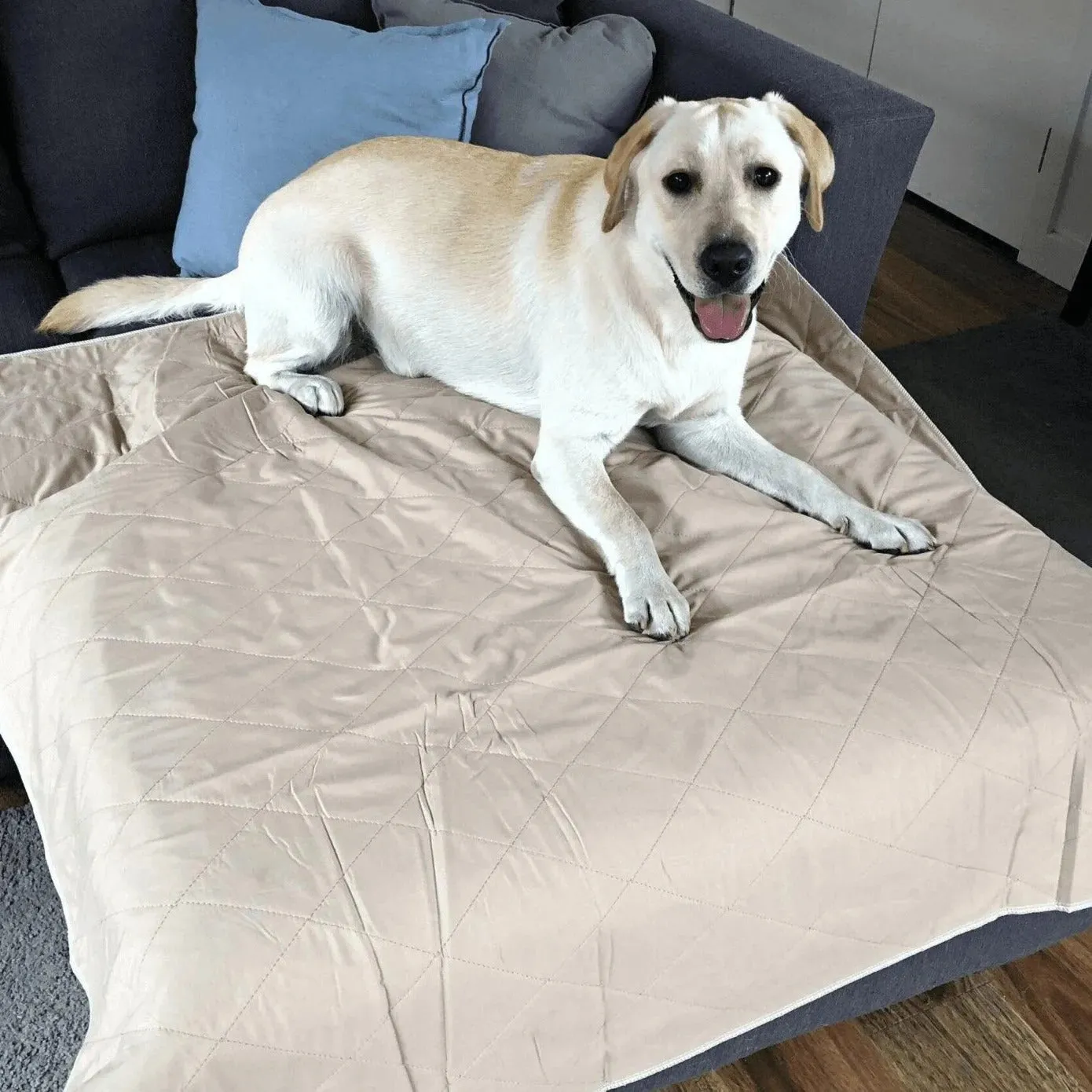 PaWz Washable Pee Pads for Dog - Reusable Mat