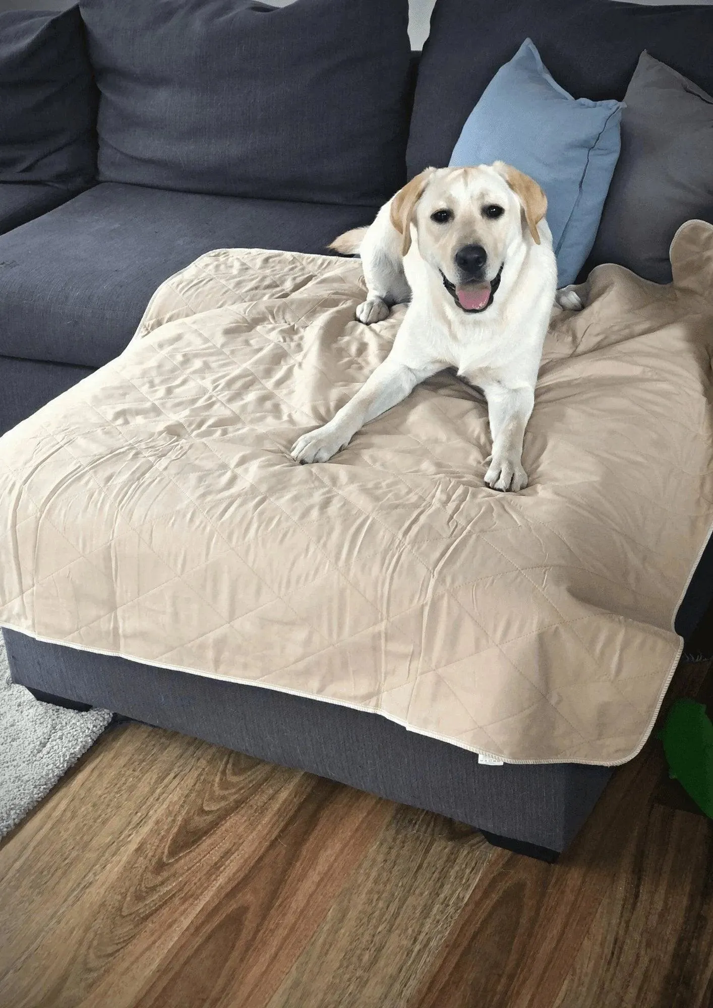 PaWz Washable Pee Pads for Dog - Reusable Mat