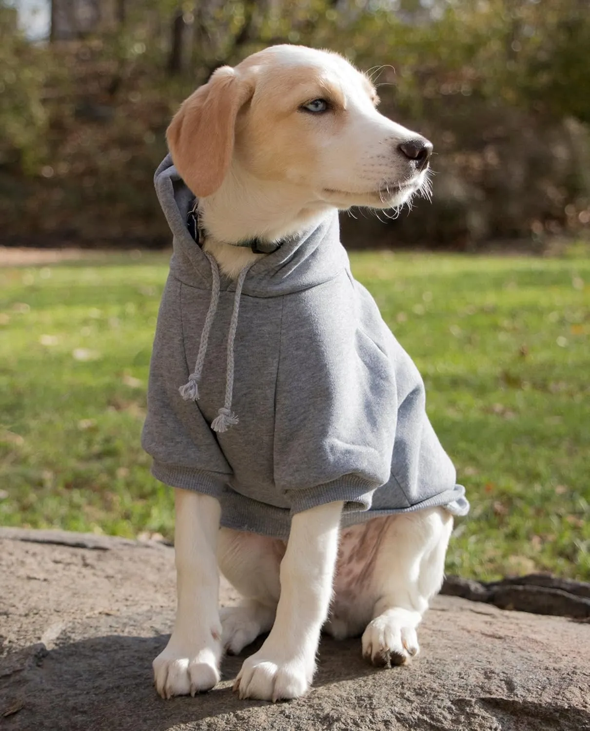 Pet Life  Hooded Dog Sweater Made with Soft and Premium Plush Cotton - Dog Hoodie Pet Sweater Features Hook-and-Loop Closures for Easy Access and Machine Washable Grey