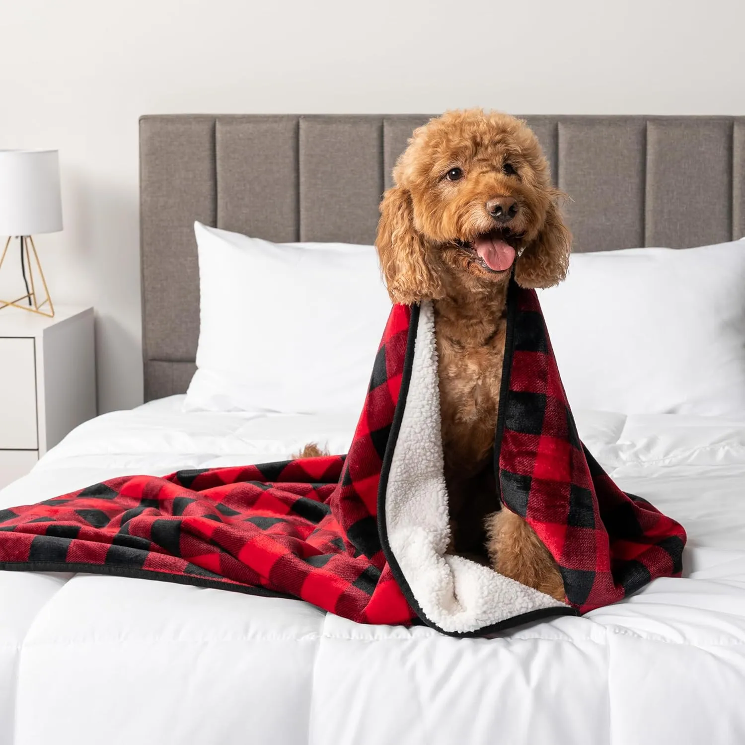 PetAmi Waterproof Dog Blanket for Small Medium Dogs, Pee Proof Pet Blanket for Couch Bed, Reversible Water Proof Blanket for Puppy Indoor Cat, Soft Dog Fleece Blankets Washable, 29x40 Checkered Red