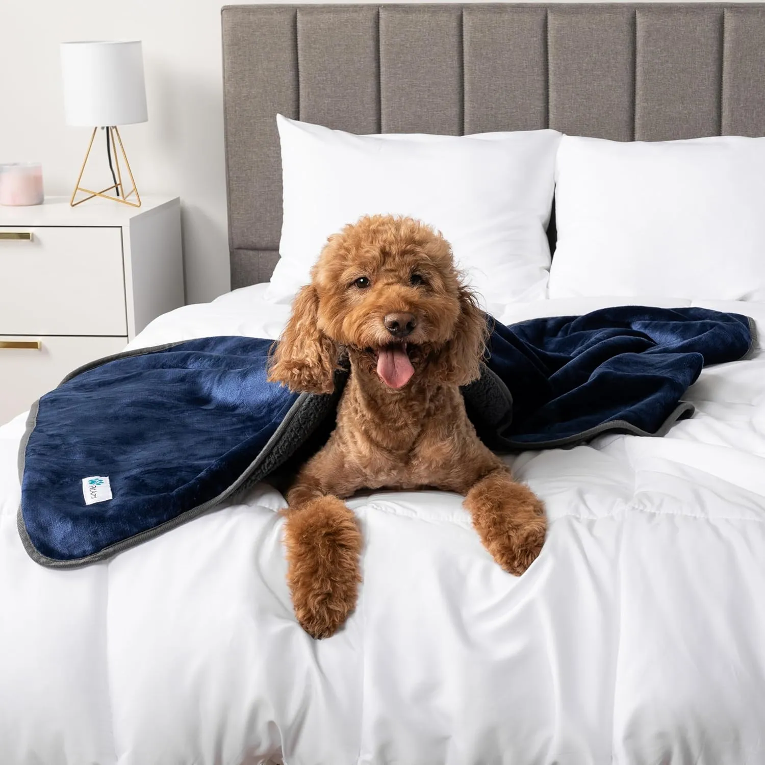 PetAmi Waterproof Dog Blanket Sherpa Fleece, Pet Small Medium Dogs, Reversible Large Cat Throw Bed Couch Sofa Furniture Protector, Soft Plush Microfiber (Medium 29x40, Blue/Gray), Navy/Gray