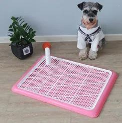 Portable Indoor Dog Toilet Pet Training Mat