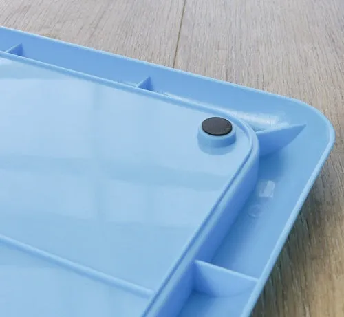 Portable Indoor Dog Toilet Pet Training Mat