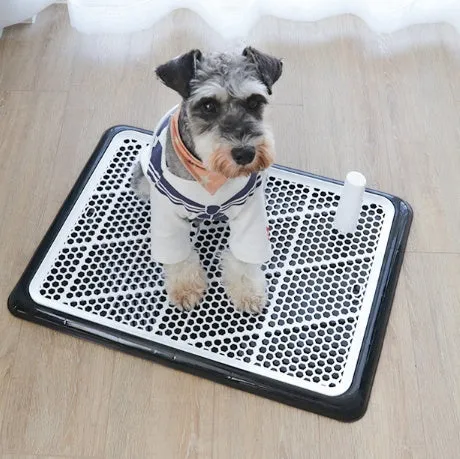 Portable Indoor Dog Toilet Pet Training Mat