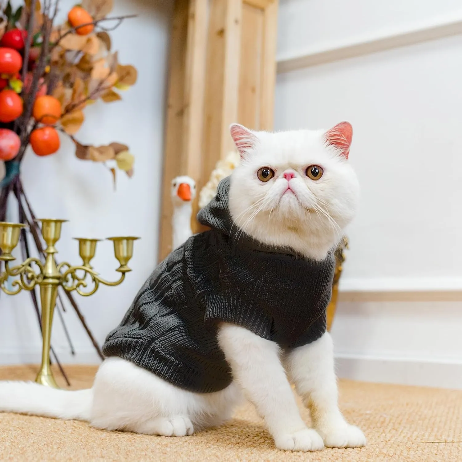PUPTECK Winter Dog Cat Sweater Coat - Soft Cold Weather Clothes Knitwear for Kitties & Small Dogs Indoor Outdoor Walking Warm, Knitted Classic for Doggies Kitties Girls Boys, Black L