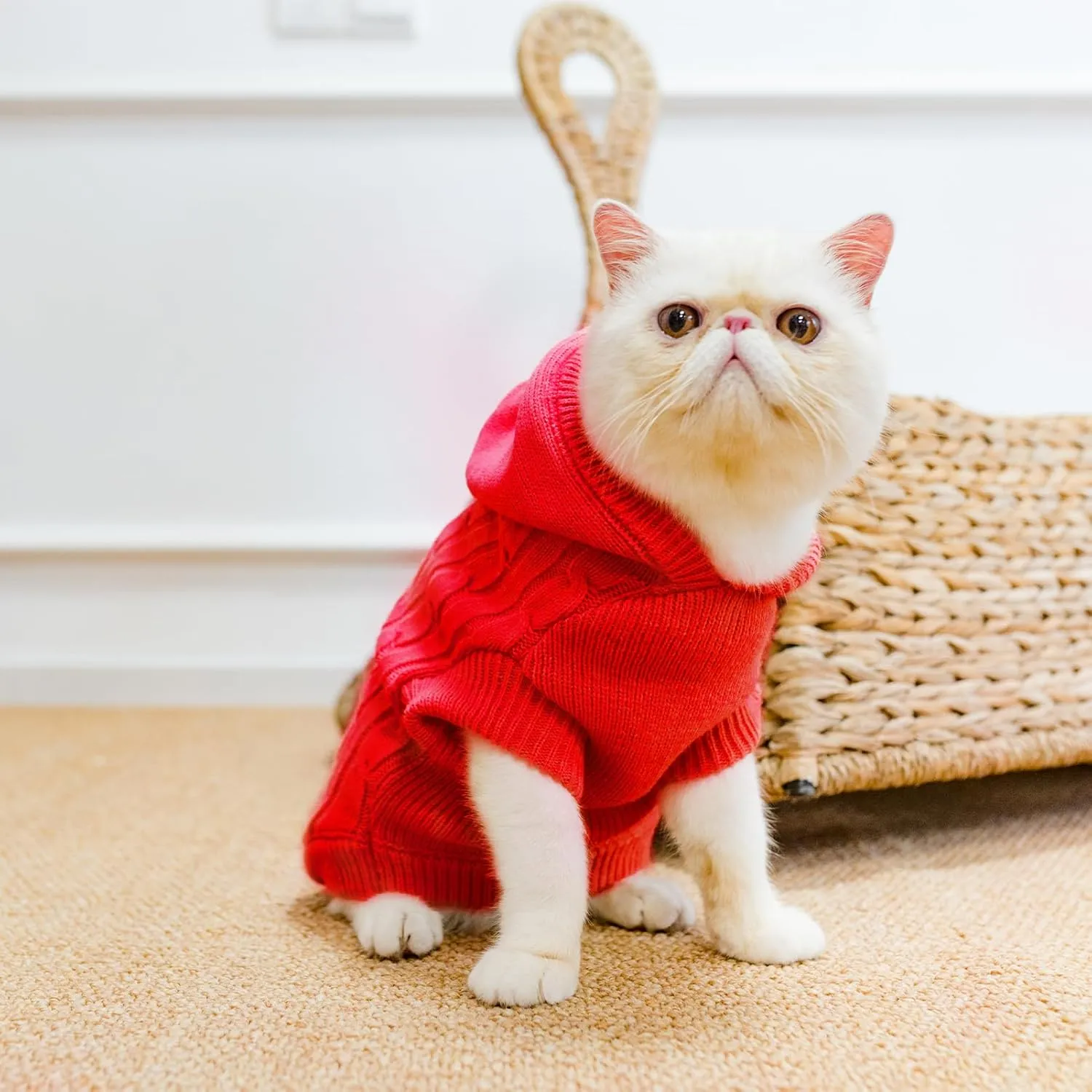 PUPTECK Winter Dog Cat Sweater Coat - Soft Cold Weather Clothes Knitwear for Kitties & Small Dogs Indoor Outdoor Walking Warm, Knitted Classic for Doggies Kitties Girls Boys, Red L
