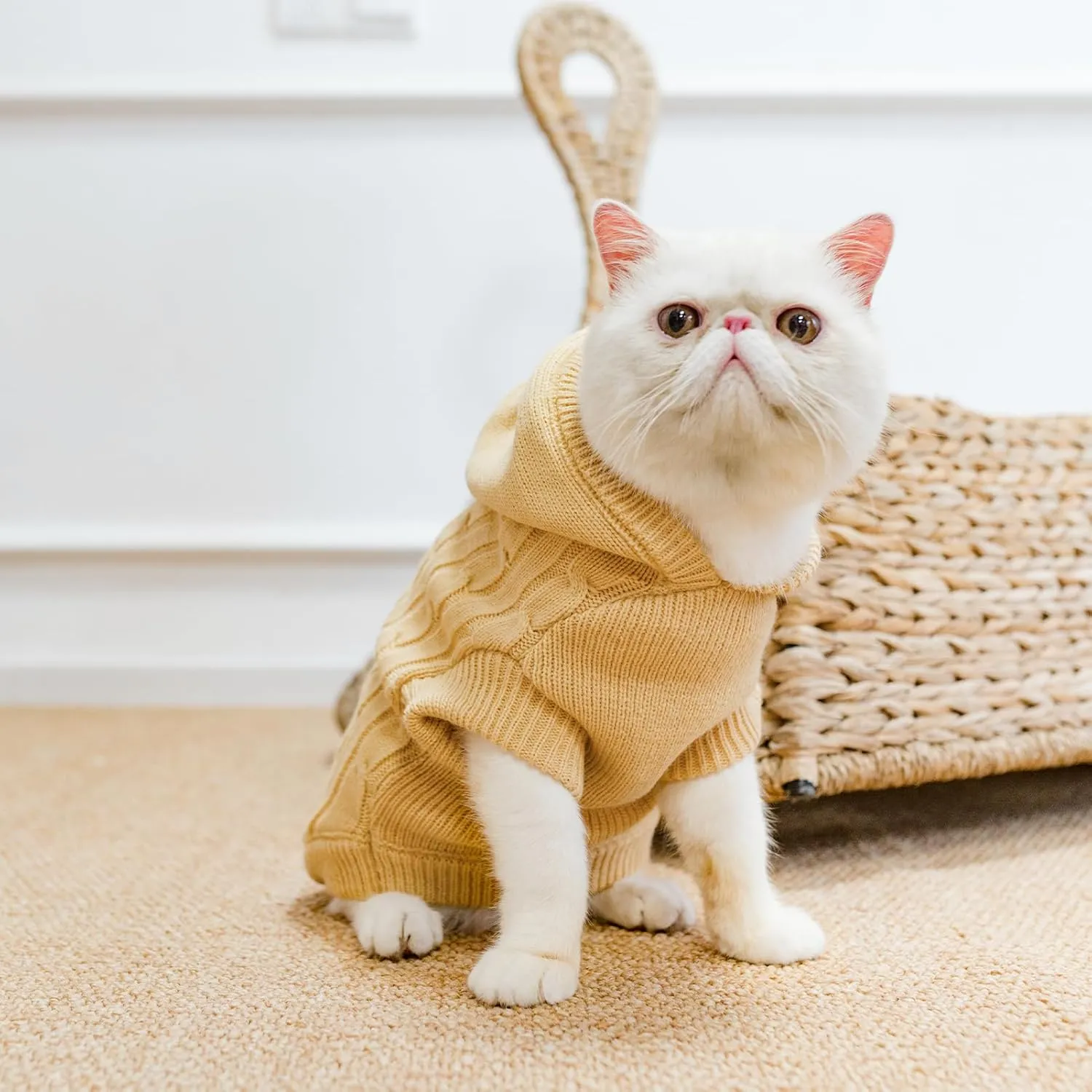 PUPTECK Winter Dog Cat Sweater Coat - Soft Cold Weather Clothes Knitwear for Kitties & Small Dogs Indoor Outdoor Walking Warm, Knitted Classic for Doggies Kitties Girls Boys