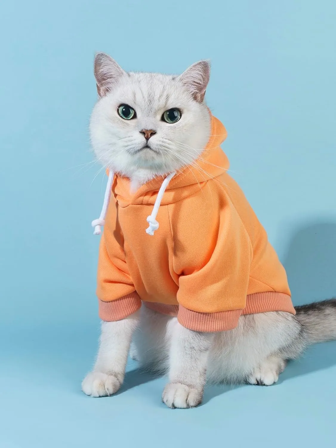 QWINEE Basic Dog Hoodie, Dog Warm Jacket, Cat Apparel, Dog Shirt, Dog Clothes for Puppy Kitten Small Medium Dogs Cats Orange S