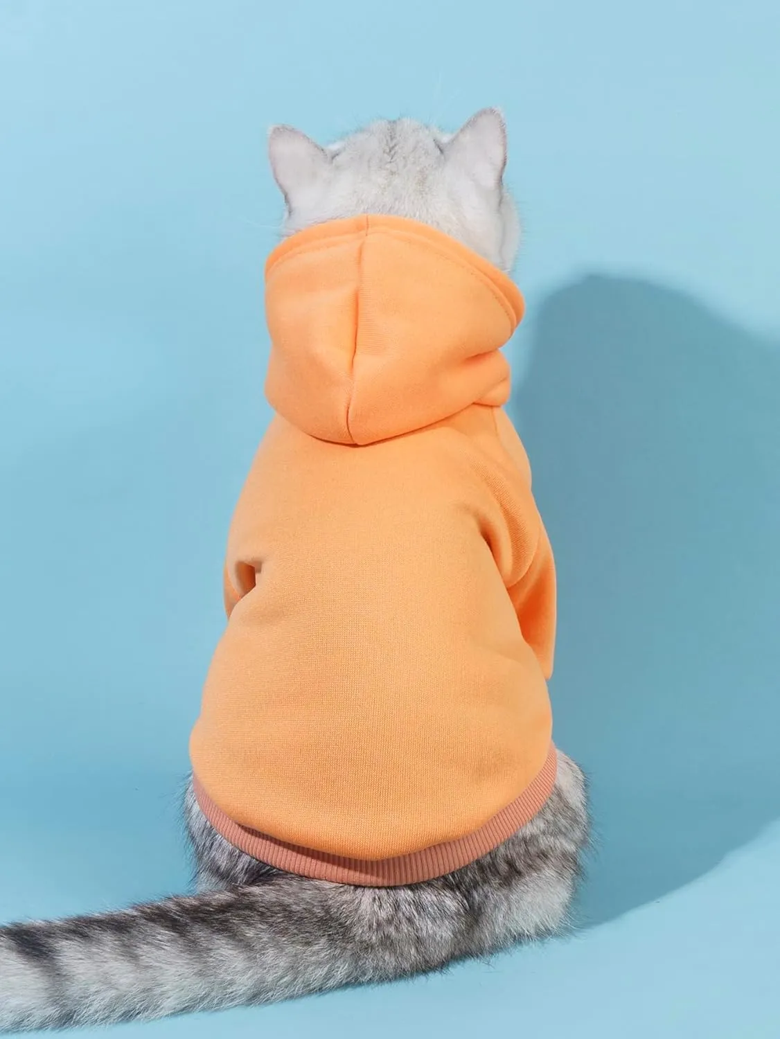 QWINEE Basic Dog Hoodie, Dog Warm Jacket, Cat Apparel, Dog Shirt, Dog Clothes for Puppy Kitten Small Medium Dogs Cats Orange S