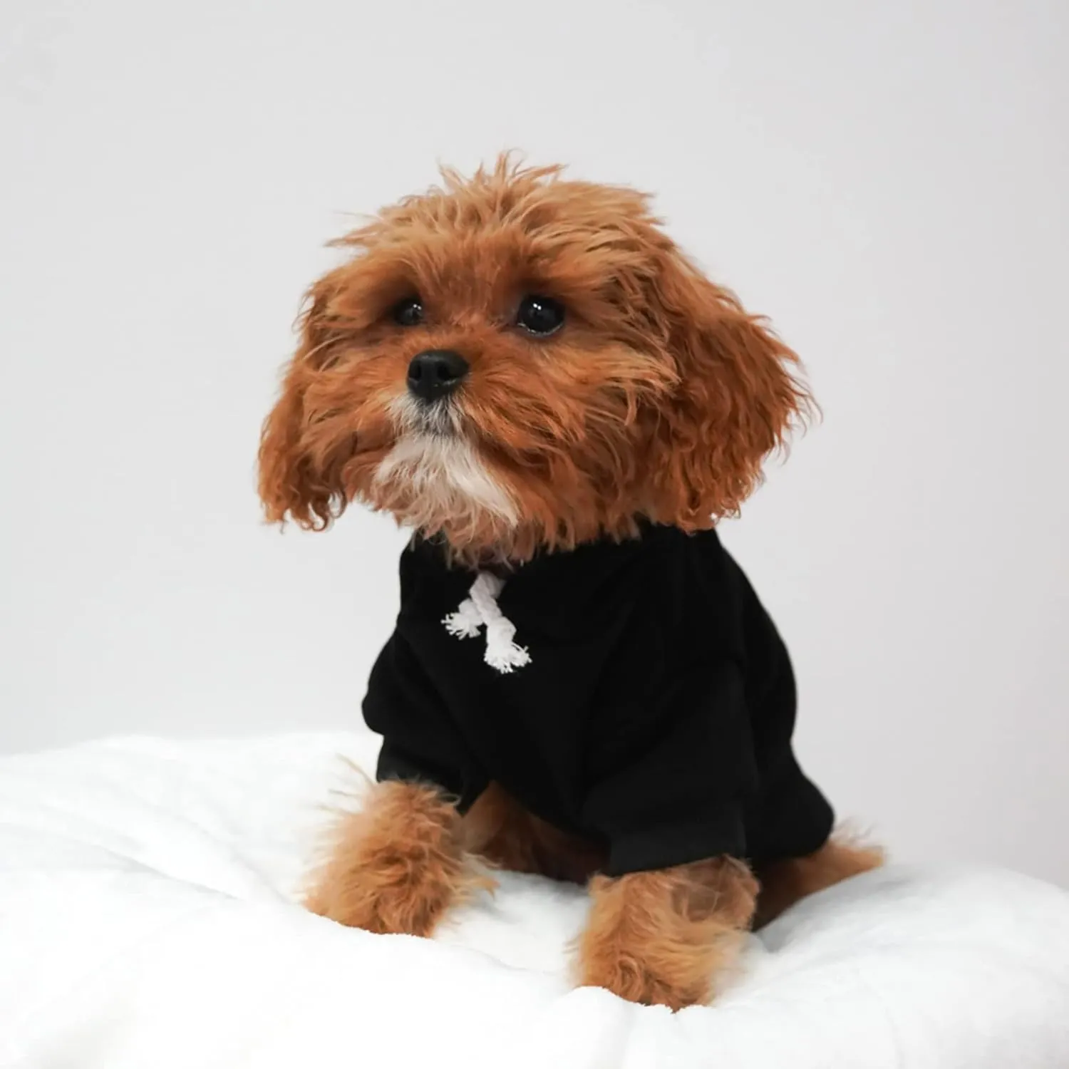 Sloppy Kisser Valentine's Day Dog Hoodie Fleece Lined Pullover Sweatshirt with Leash Hole (Black, 2X-Large 1174)