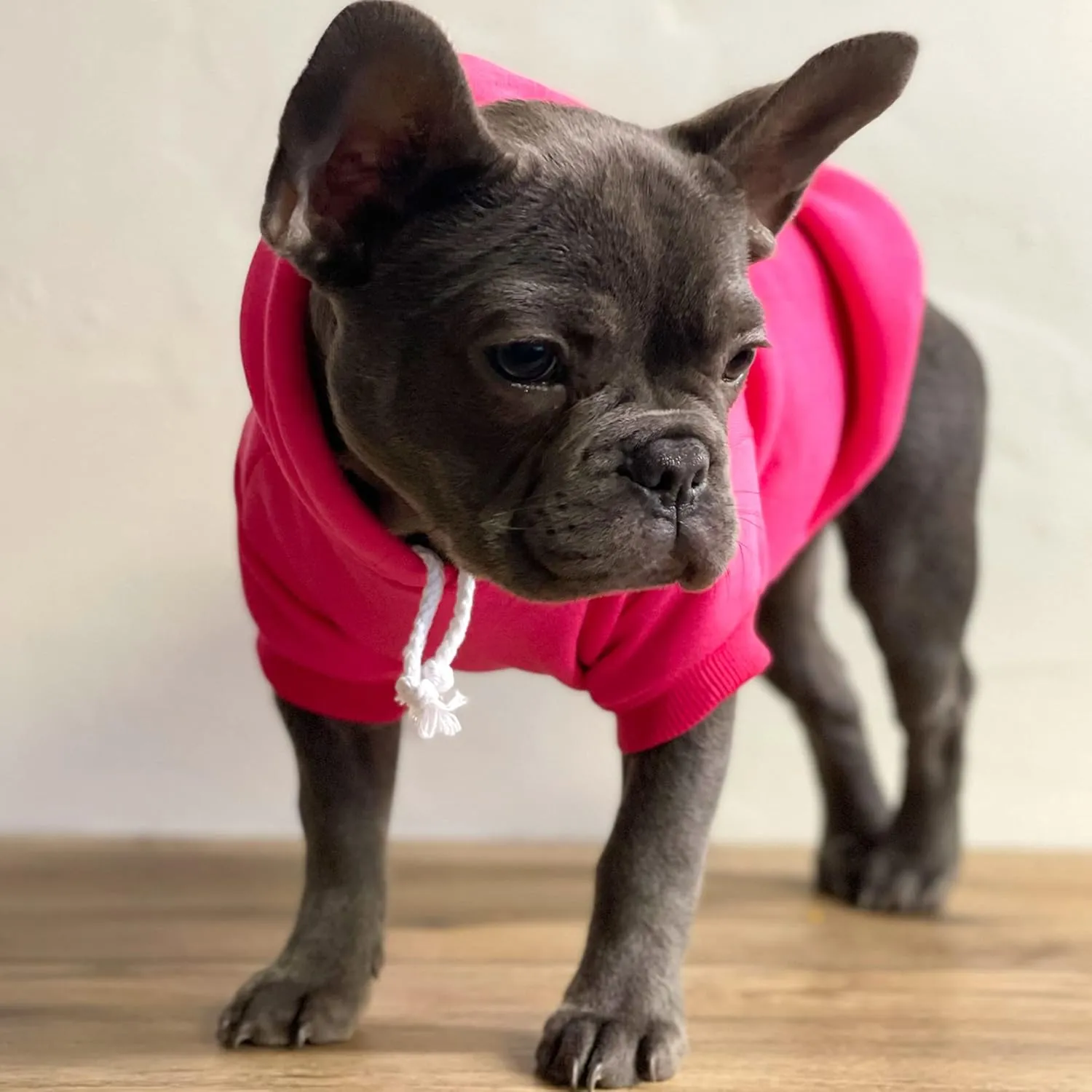 We Do Too Wedding Engagement Announcement Dog Hoodie Fleece Lined Pullover Sweatshirt with Leash Hole (Black, 4X-Large 81)